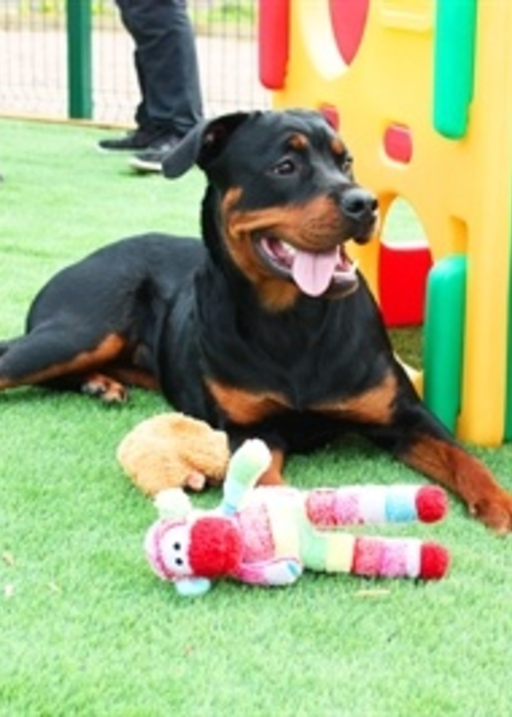 Multipet Multipet pluche sock monkey assorti