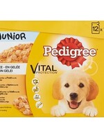 Pedigree Pedigree multipack maaltijdzakjes junior in gelei