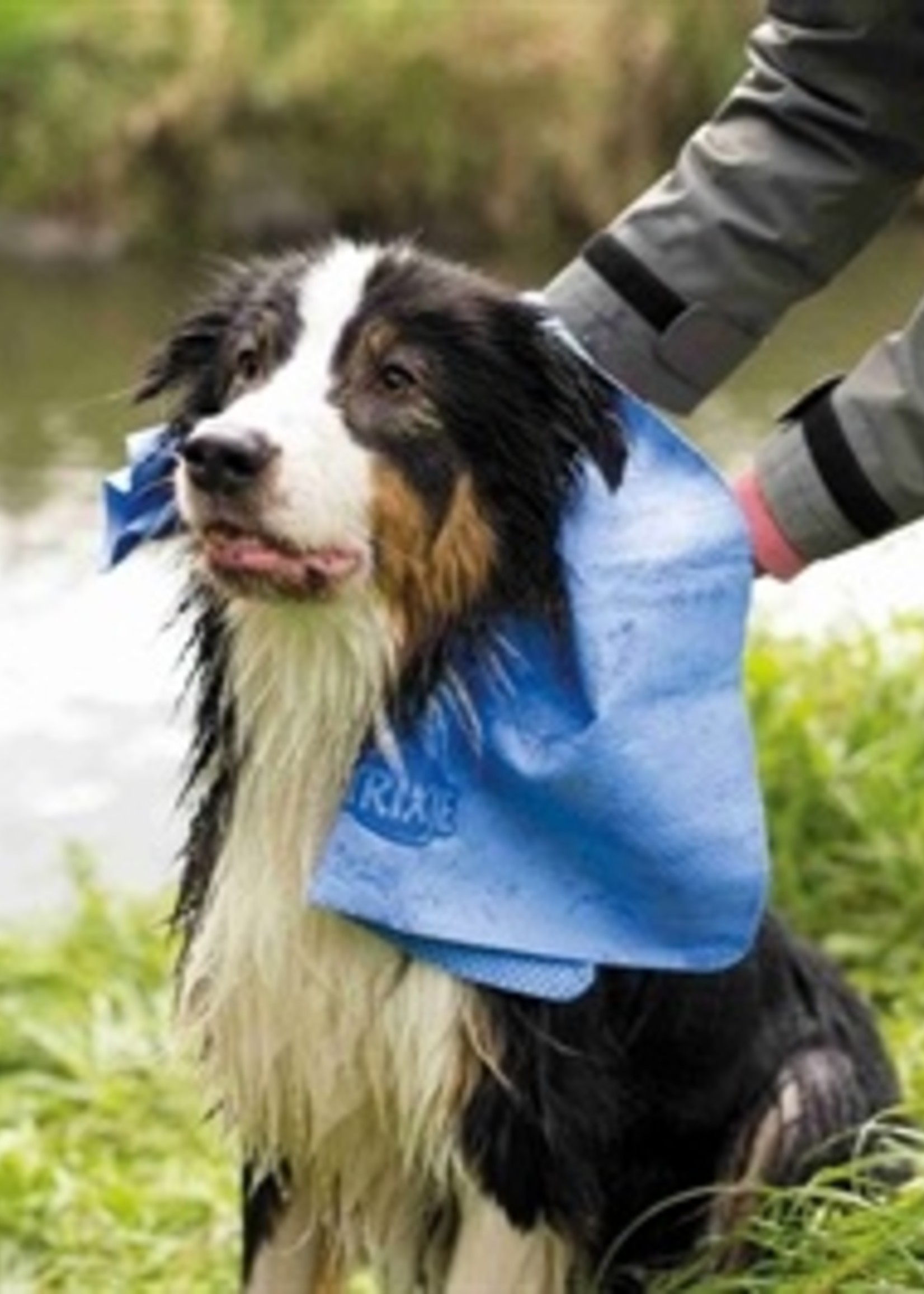 Trixie Trixie handdoek assorti