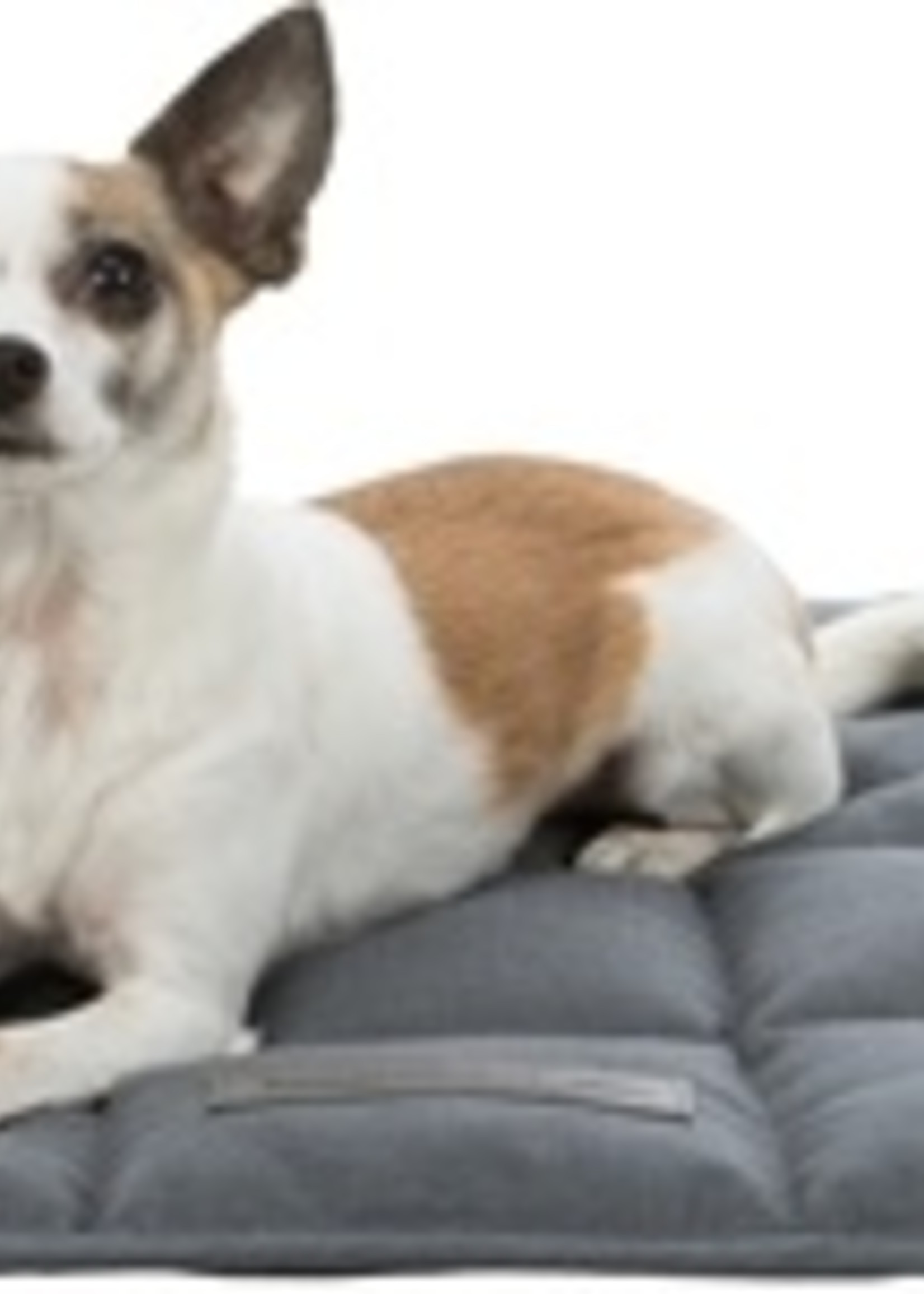 Trixie Trixie honden kussen mat farello grijs