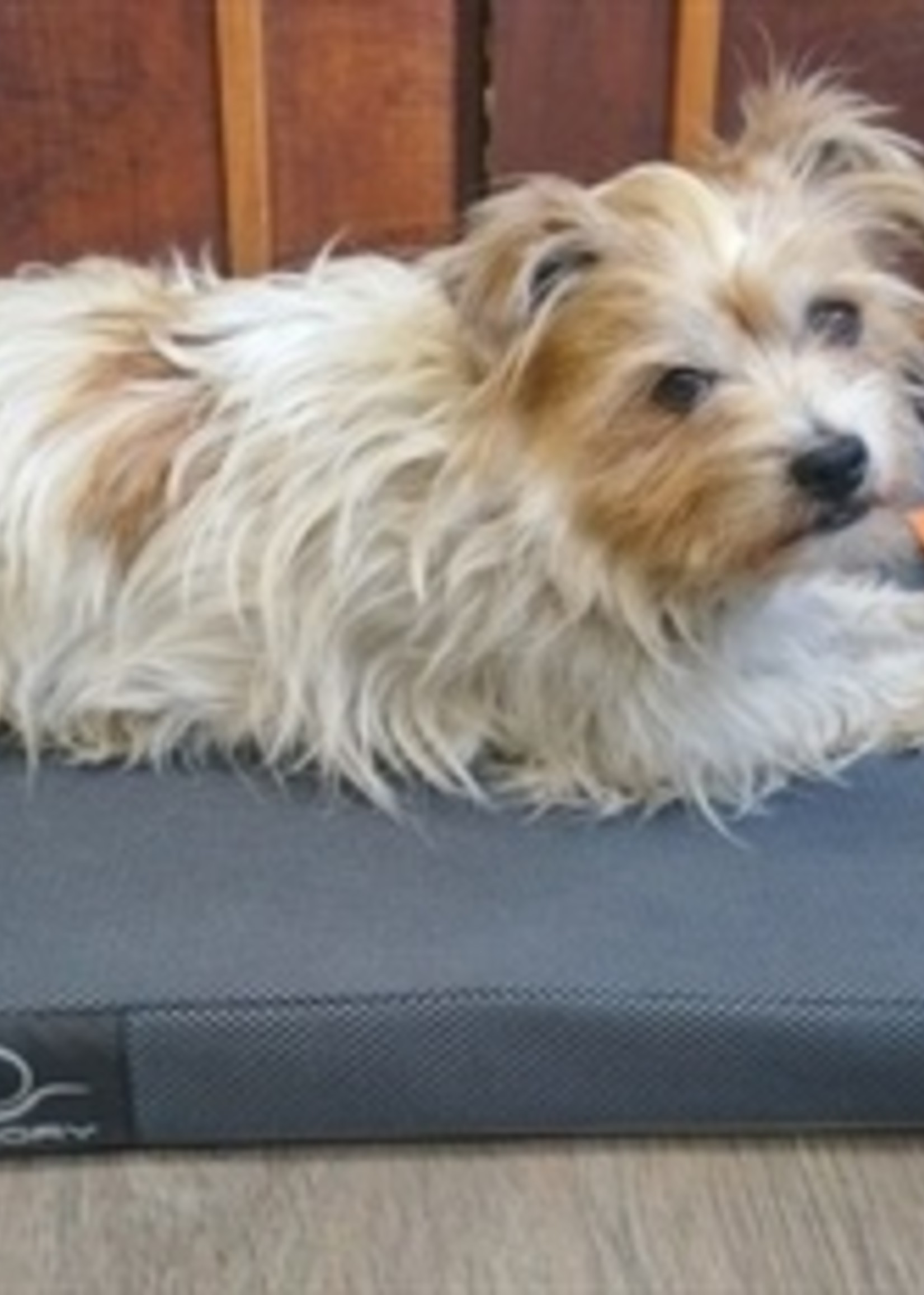 Zolux Zolux hondenkussen memory foam afneembare hoes zwart