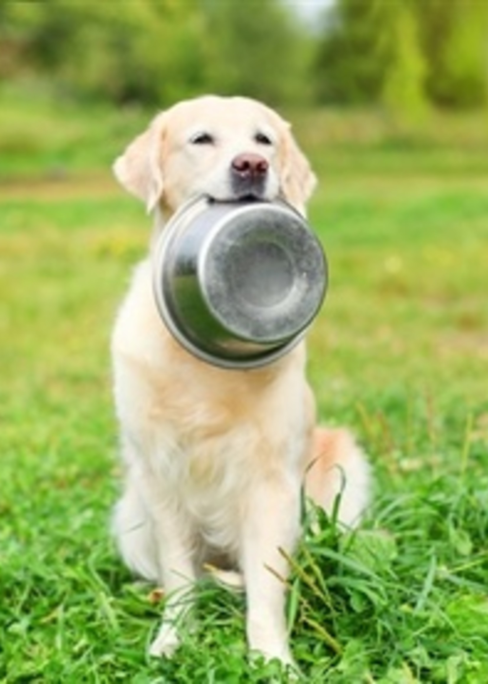 Happy pet Happy pet voerbak rvs