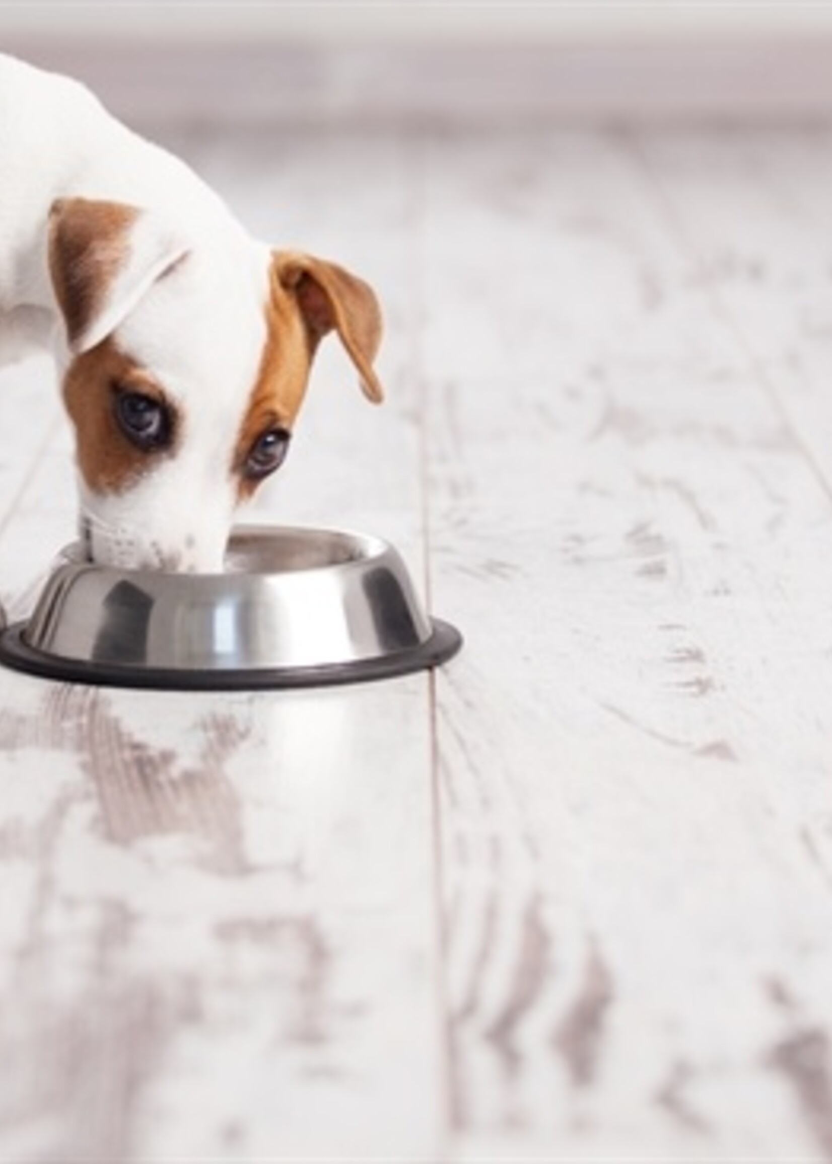 Happy pet Happy pet voerbak antislip spaniel