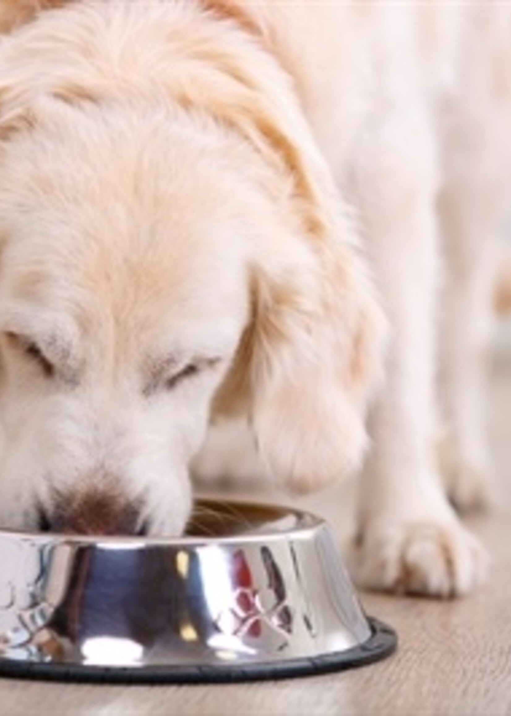 Happy pet Happy pet voerbak antislip