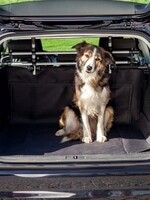 Trixie Trixie autodeken kofferbak zwart