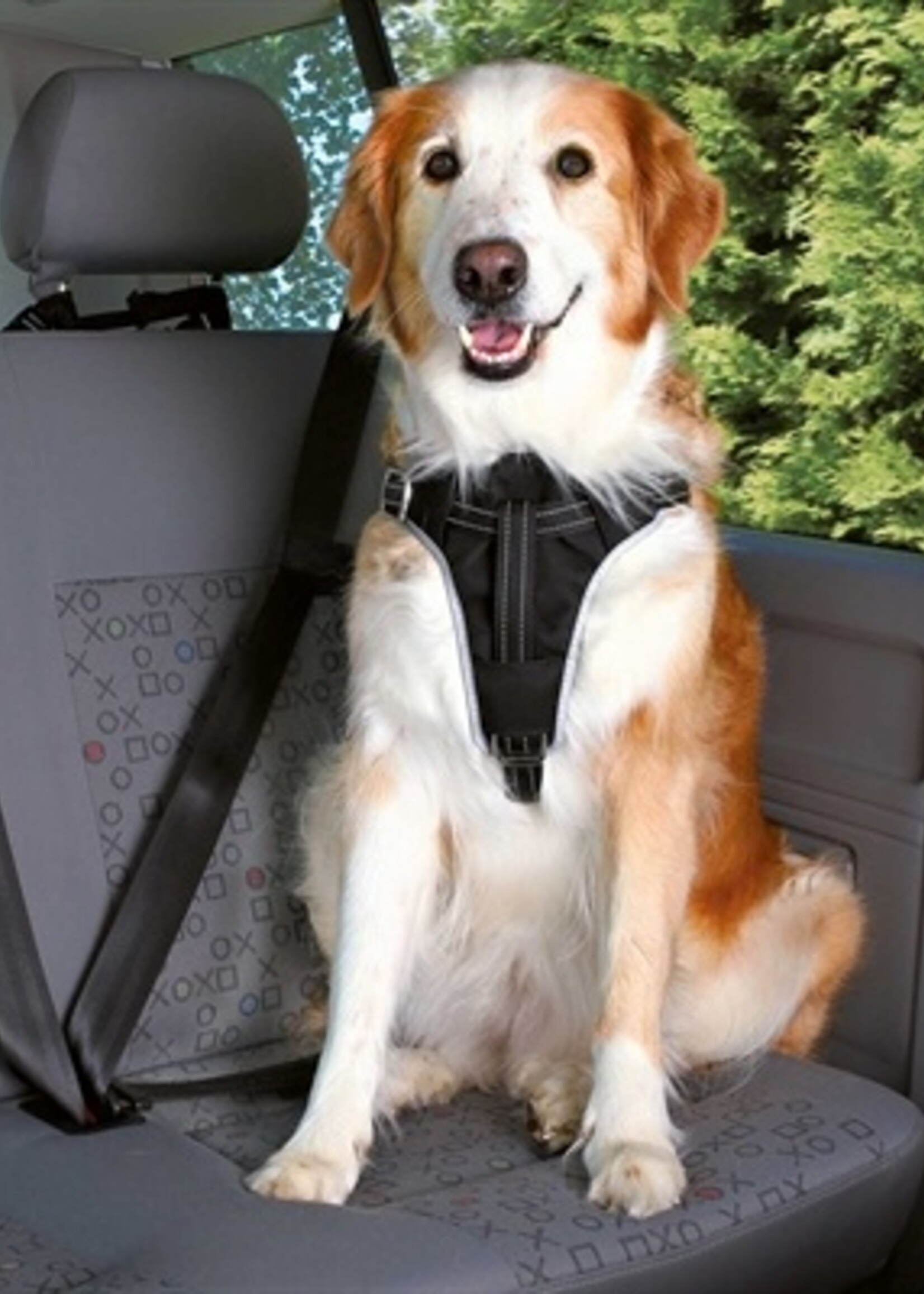 Trixie Trixie hondentuig auto dog protect zwart