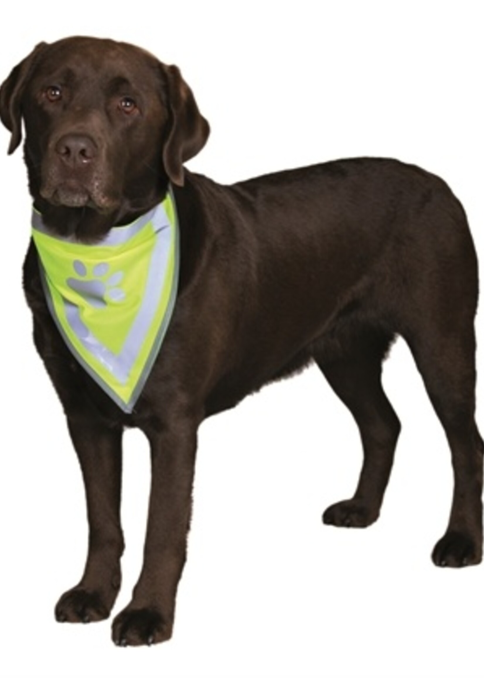 Trixie Trixie reflecterende bandana geel