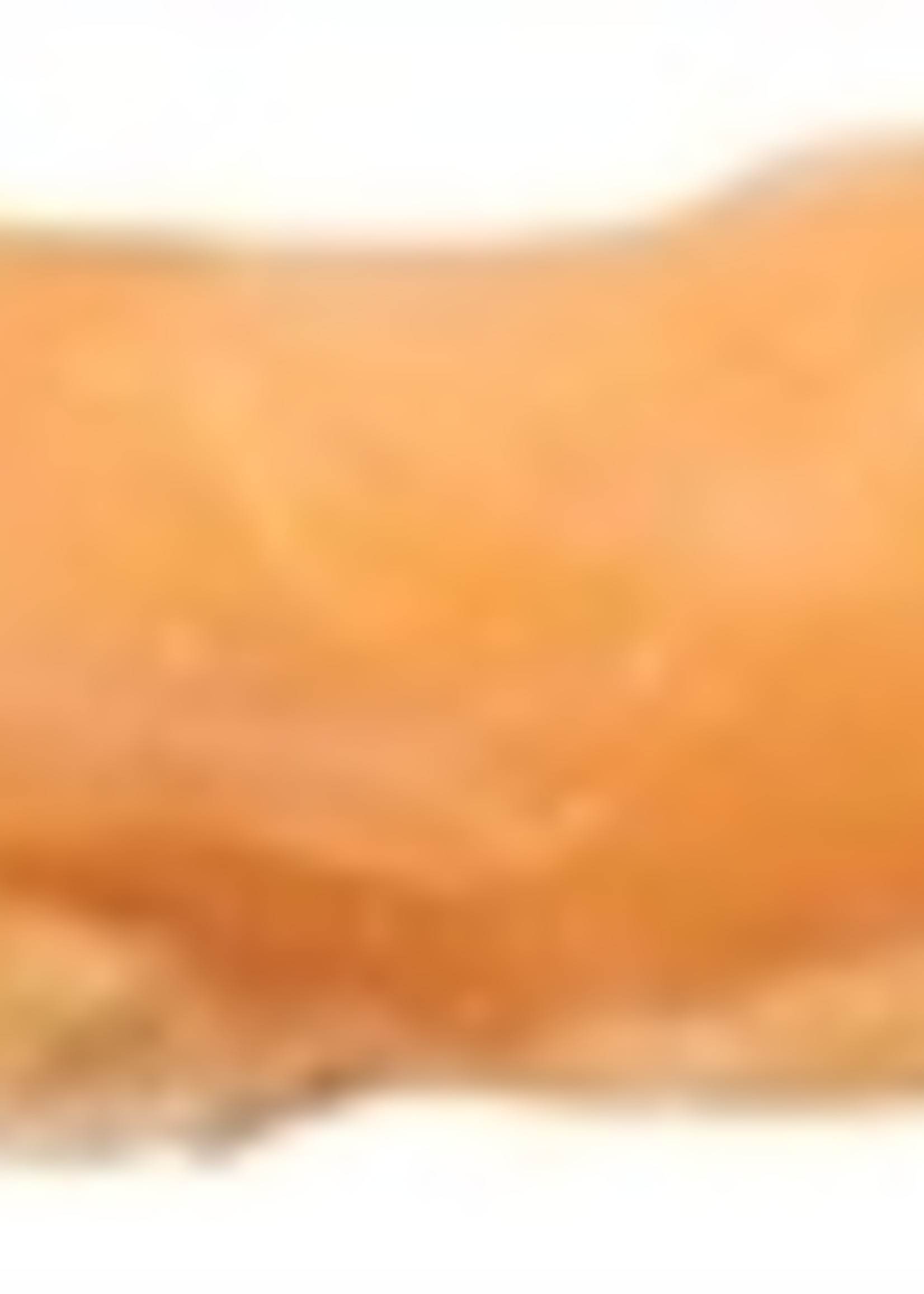 Trixie Trixie denta fun chicken chewing roll