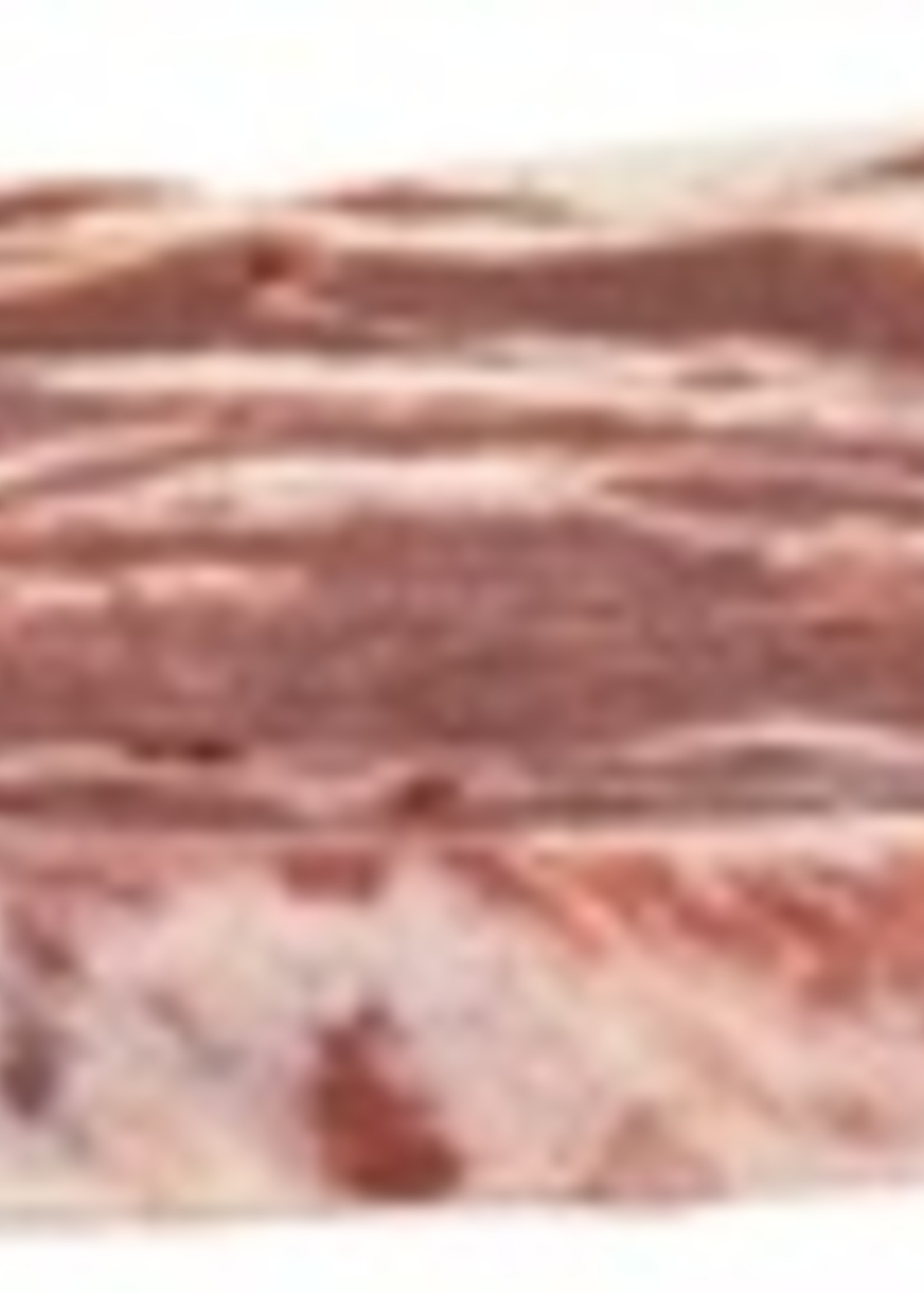 Trixie Trixie premio marbled lamb bars