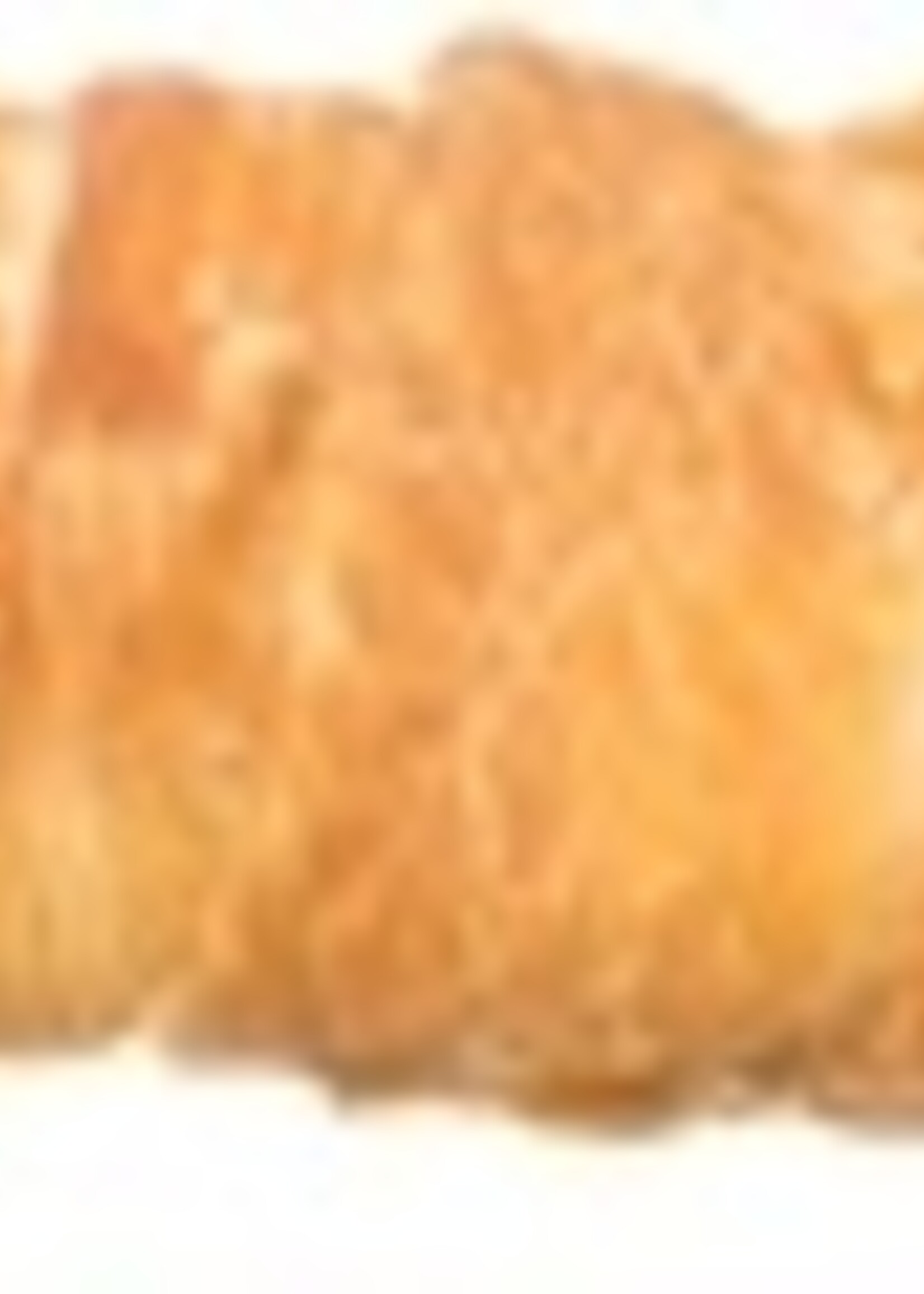 Trixie Trixie denta fun filled chicken chewing roll