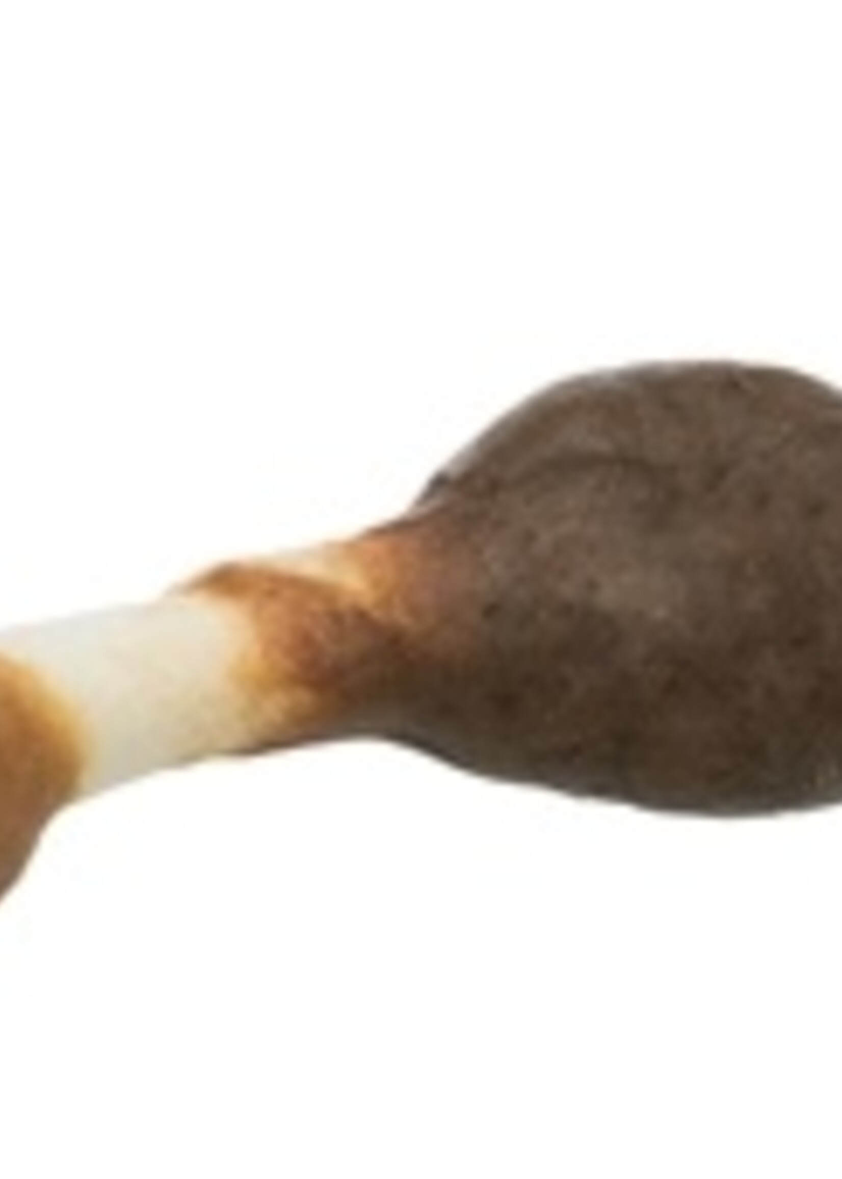 Trixie Trixie denta fun chicken duck kebabs