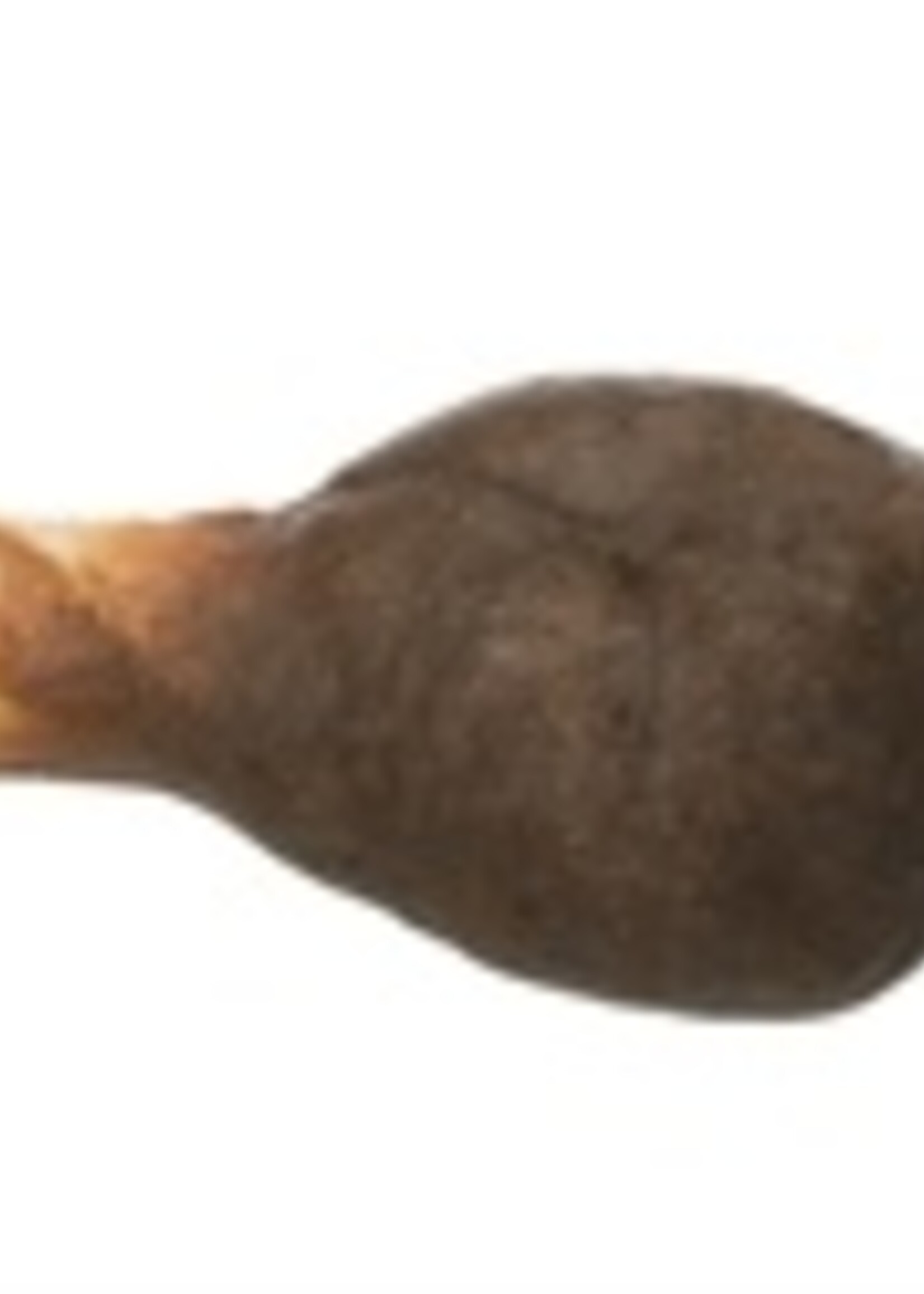 Trixie Trixie denta fun chicken duck kebabs