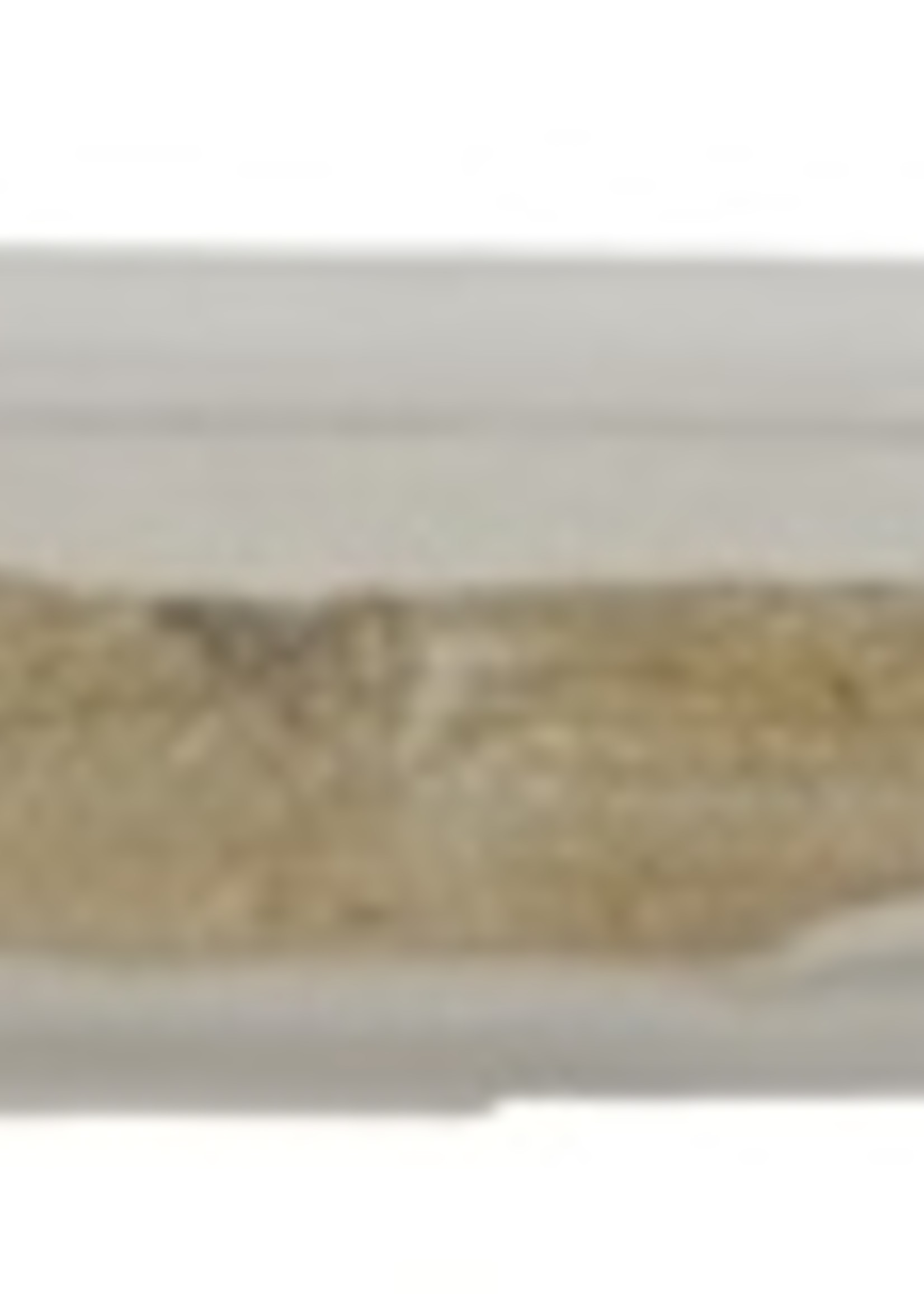 Petsnack 25x petsnack zalmhuid met vlees