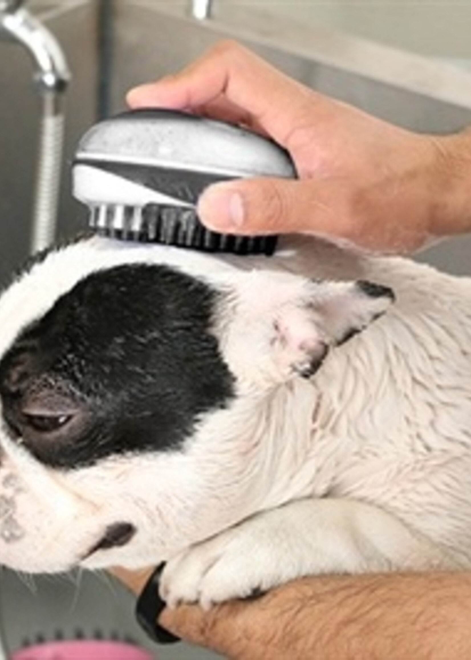 Rosewood Rosewood 2 in 1 bad borstel