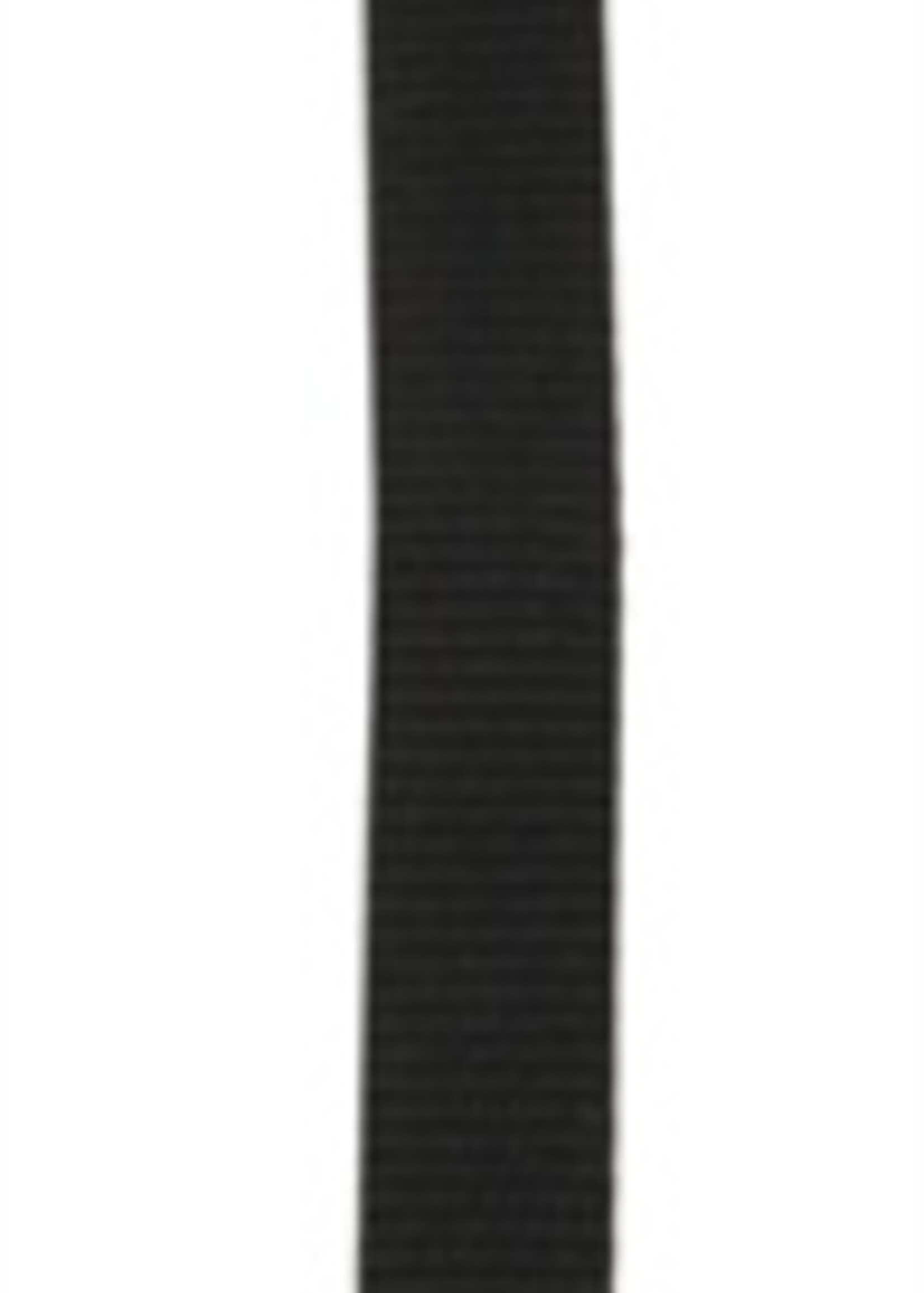 Airbuggy Airbuggy korthouder voor reismand