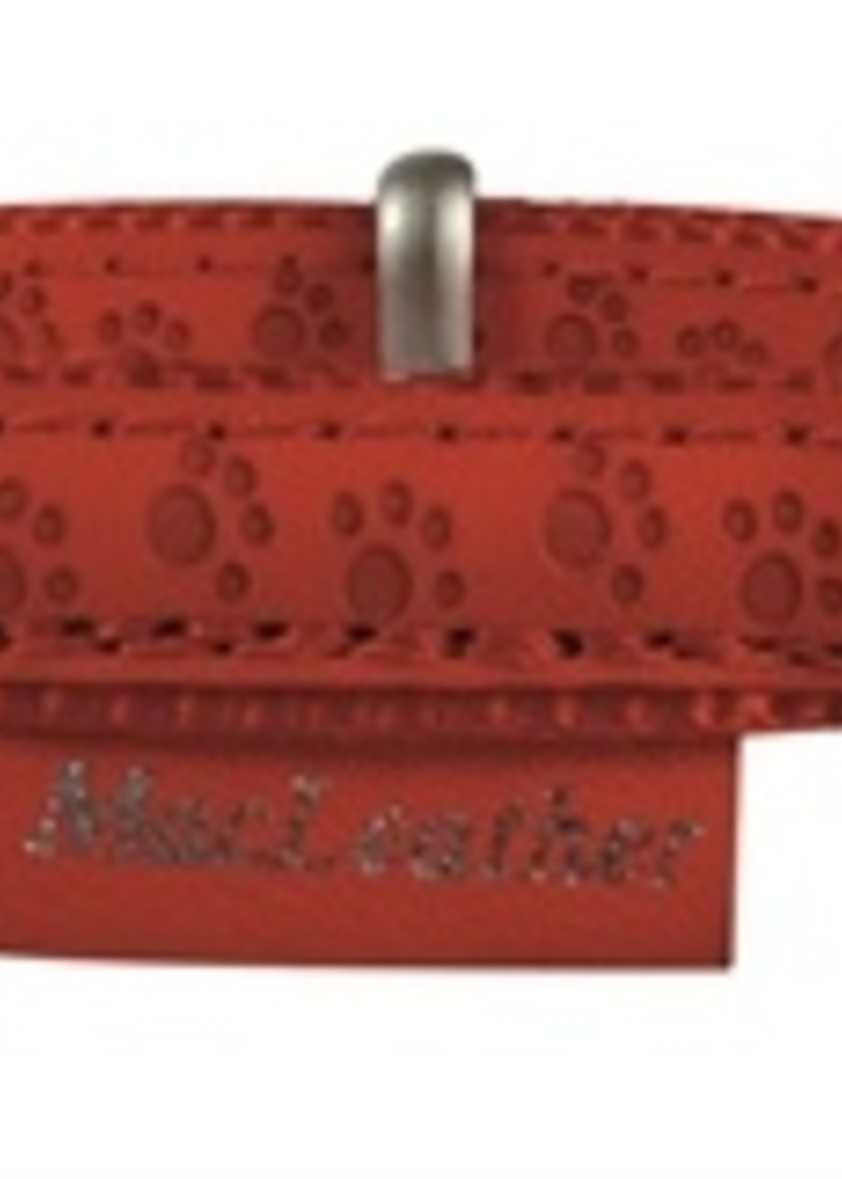 Macleather Macleather halsband rood