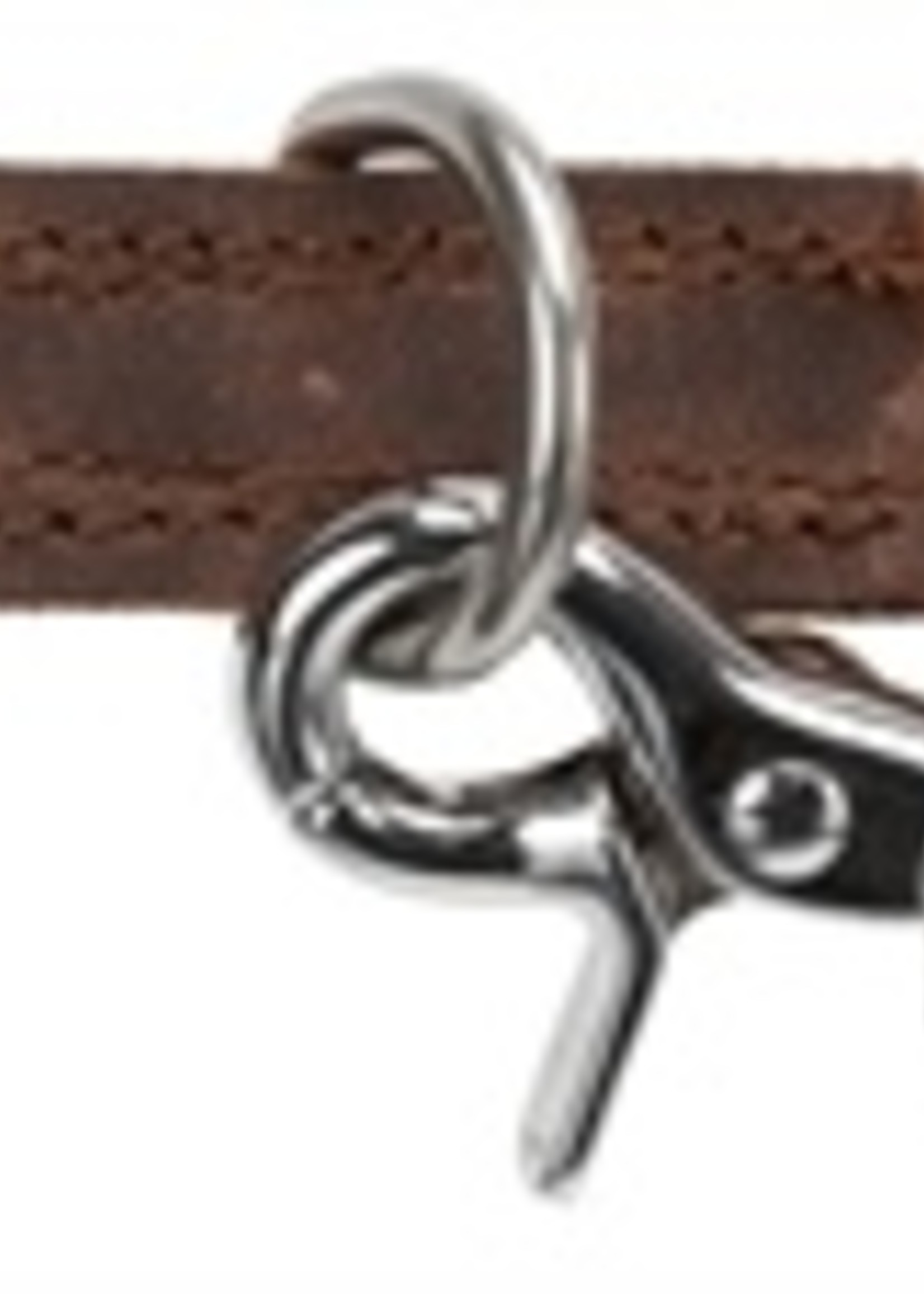 Trixie Trixie hondenriem rustic verstelbaar vetleer donkerbruin