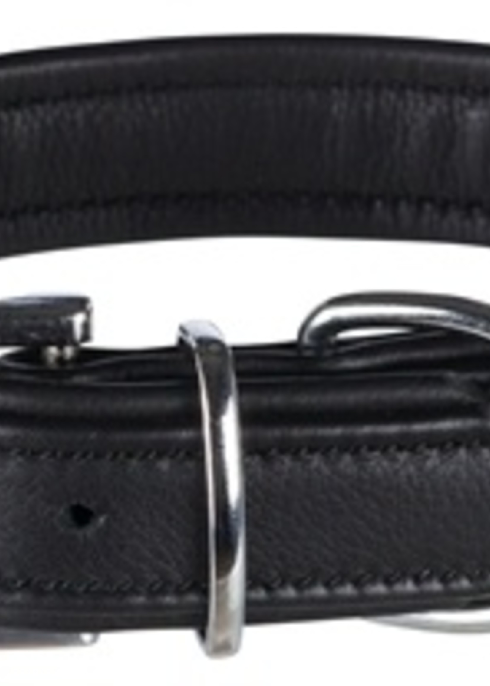 Trixie Trixie halsband hond active comfort leer zwart
