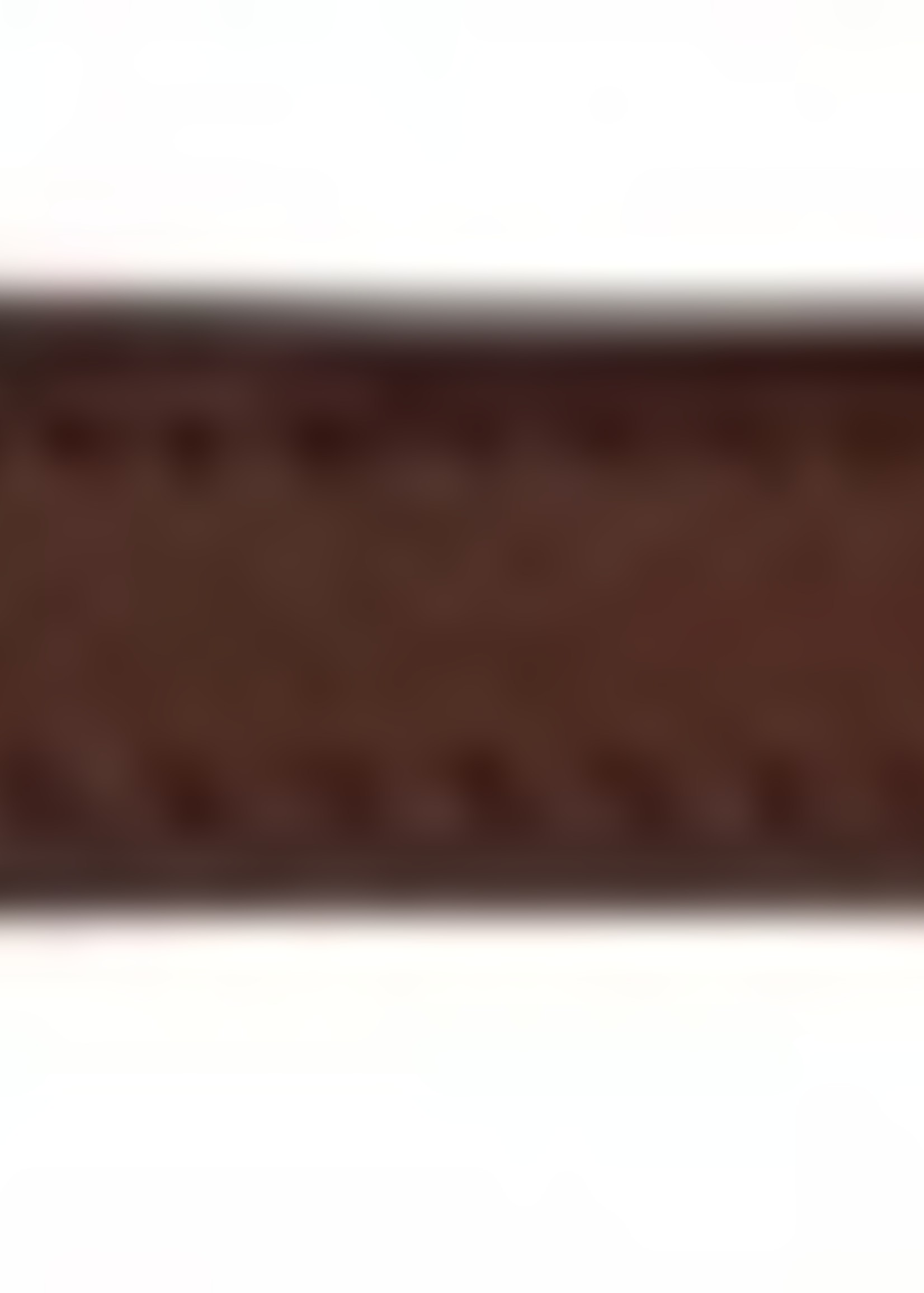 Trixie Trixie halsband hond active leer cognac