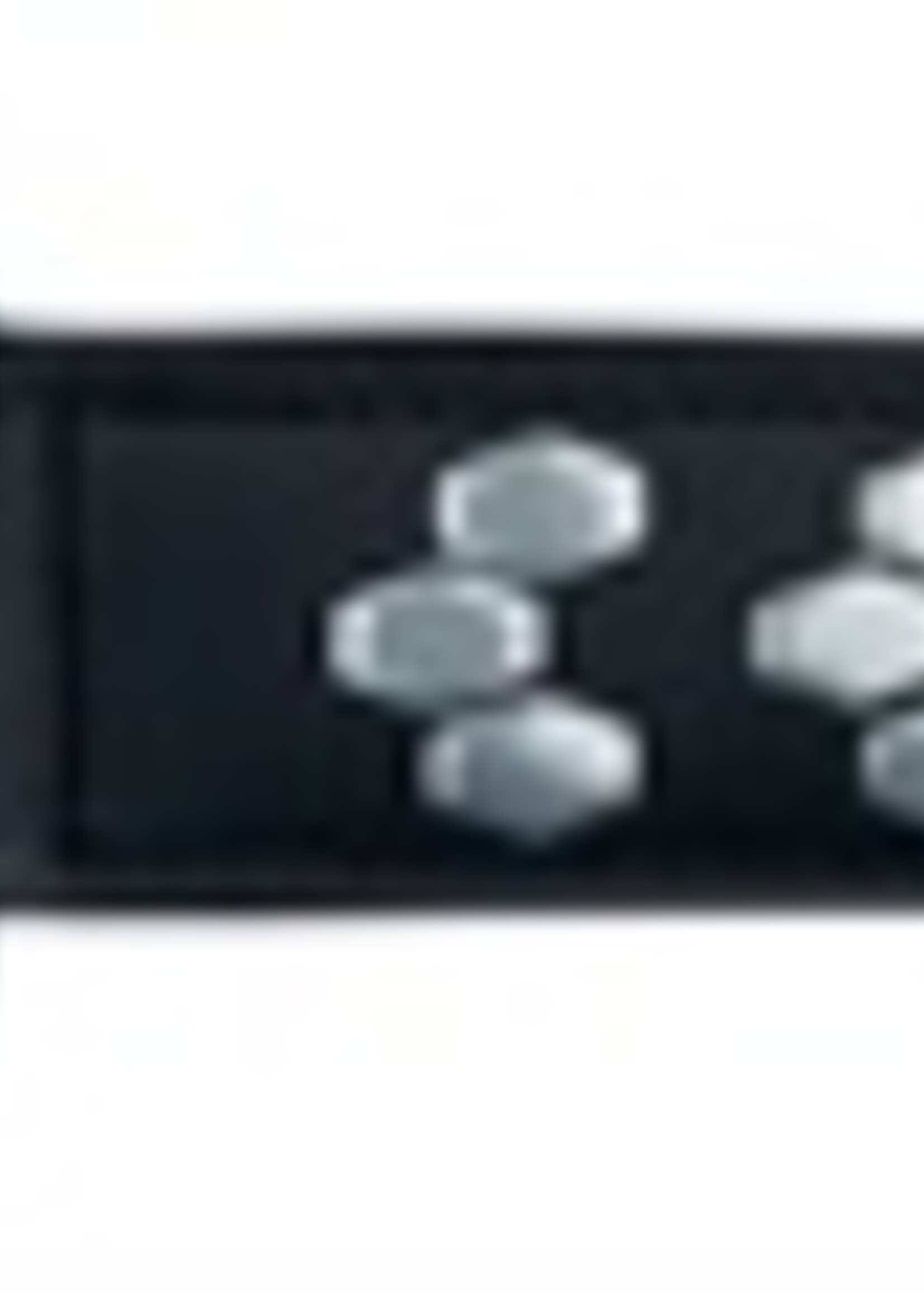 Trixie Trixie halsband hond active leer met applicaties zwart