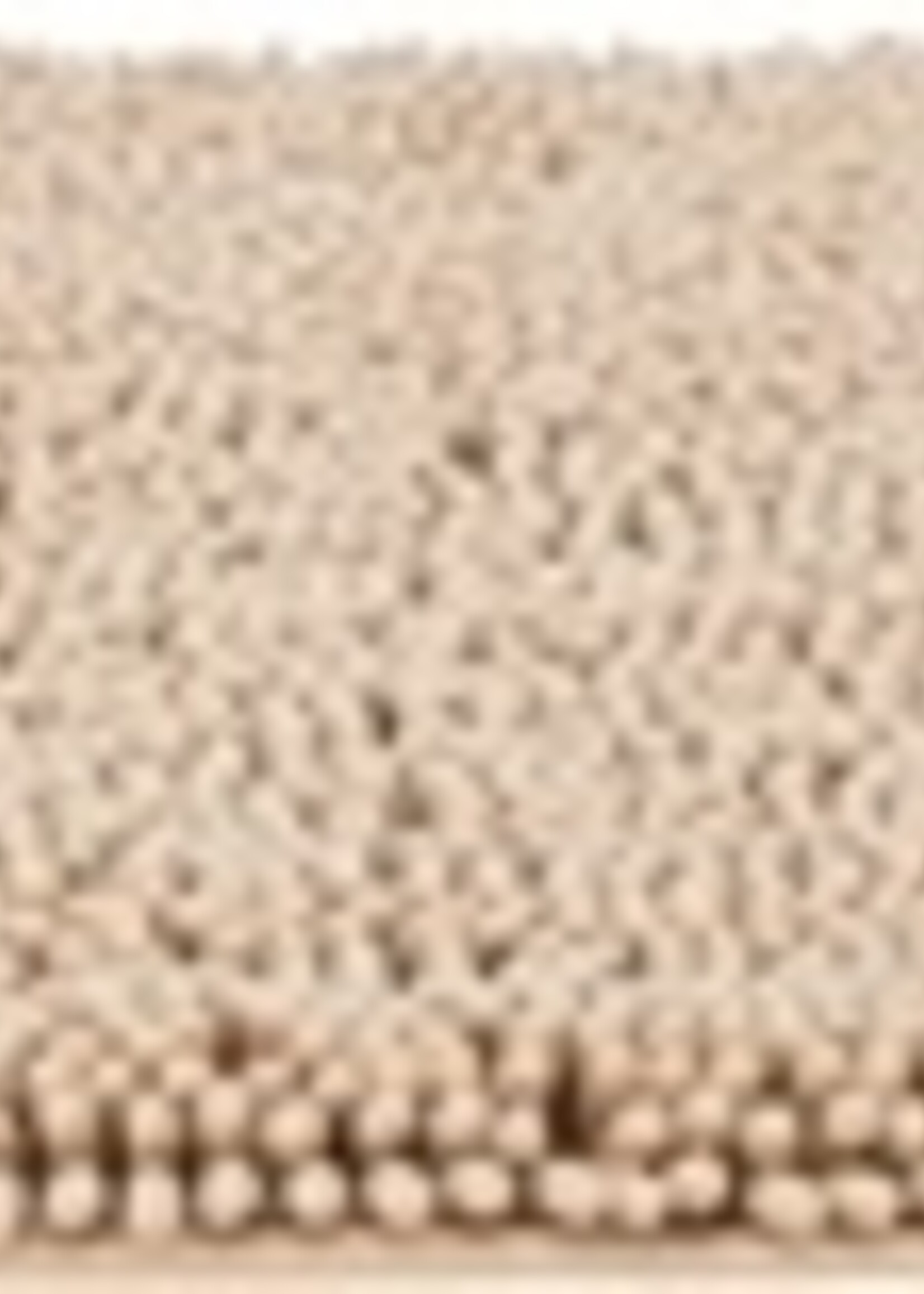 Trixie Trixie schoonloopmat waterdicht beige