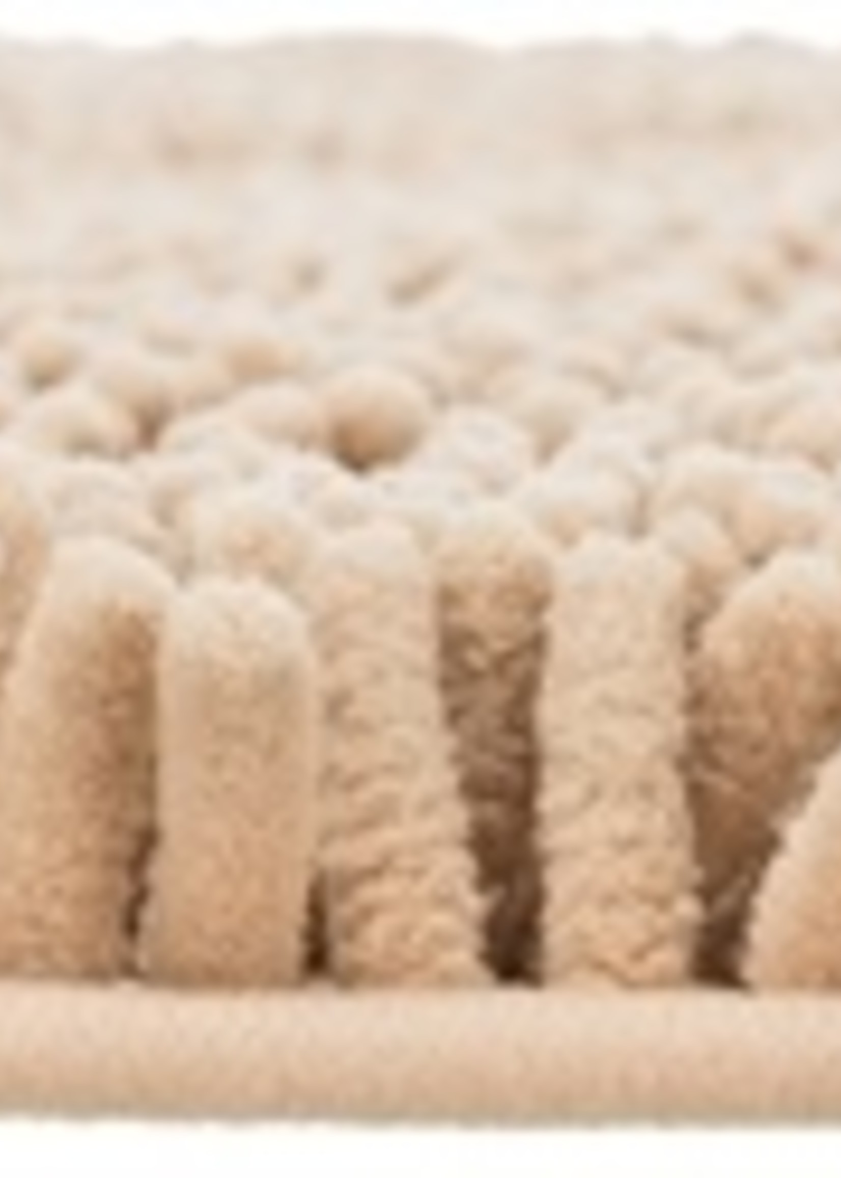 Trixie Trixie schoonloopmat waterdicht beige
