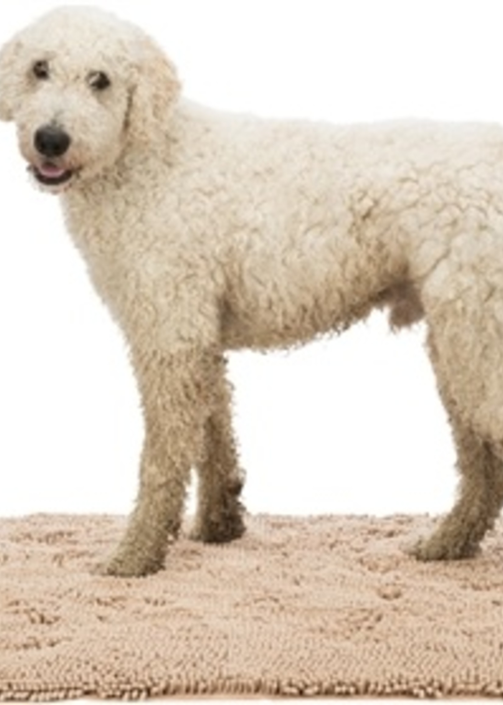 Trixie Trixie schoonloopmat waterdicht beige