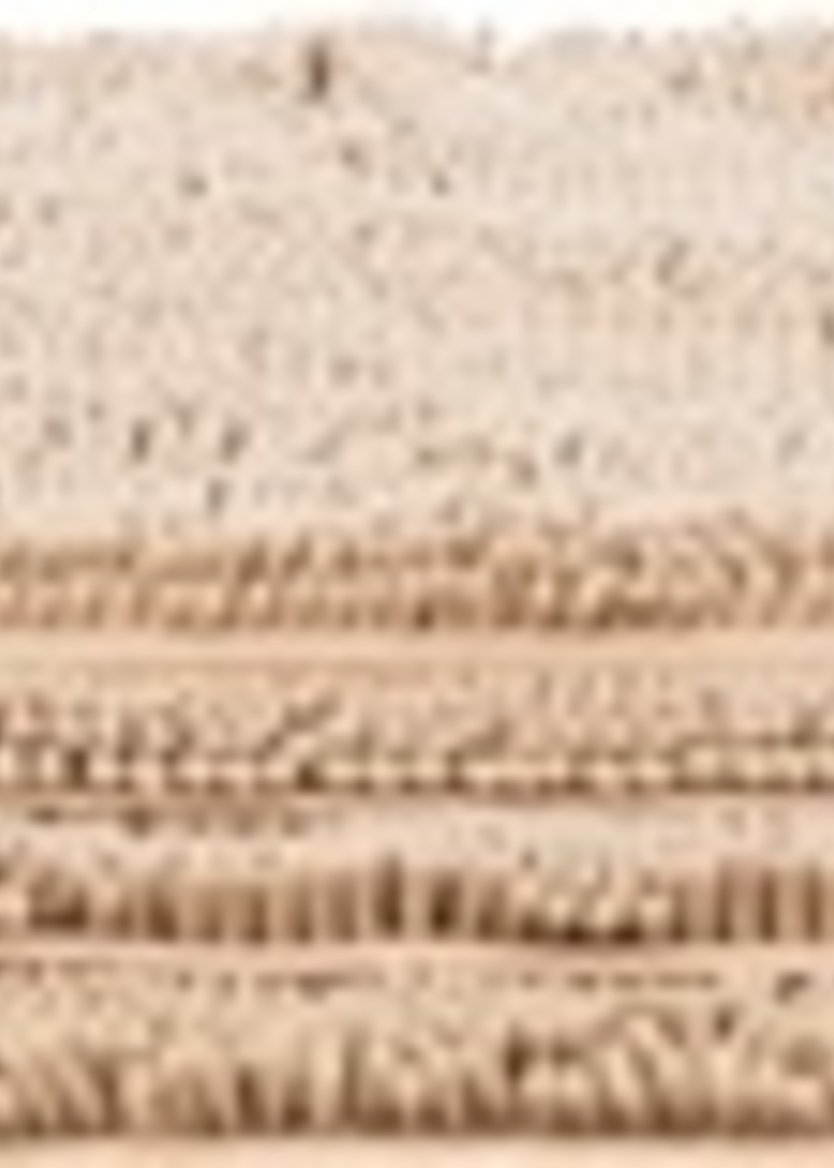 Trixie Trixie schoonloopmat waterdicht beige