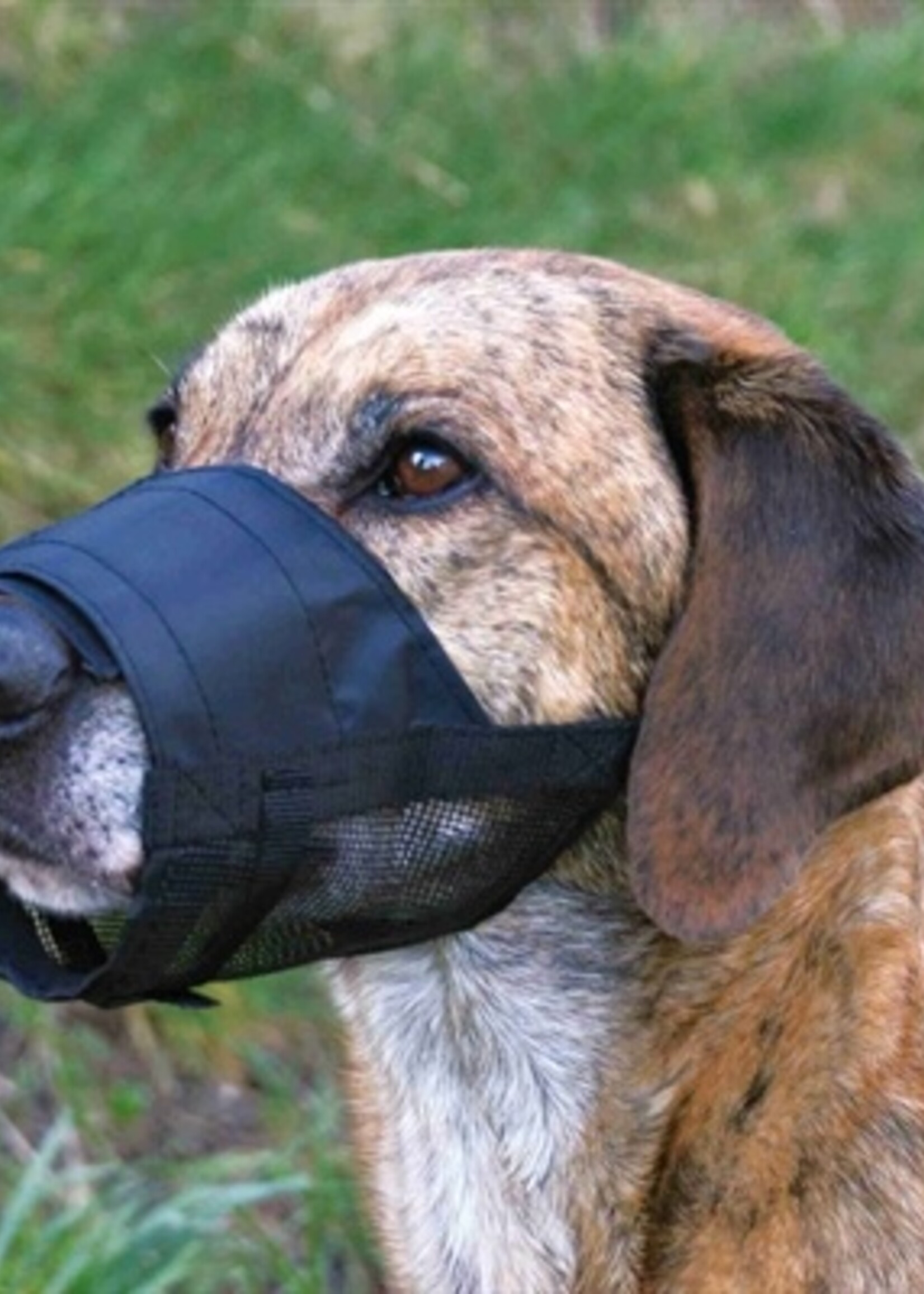 Trixie Trixie muilkorf polyester met gaas inzet zwart