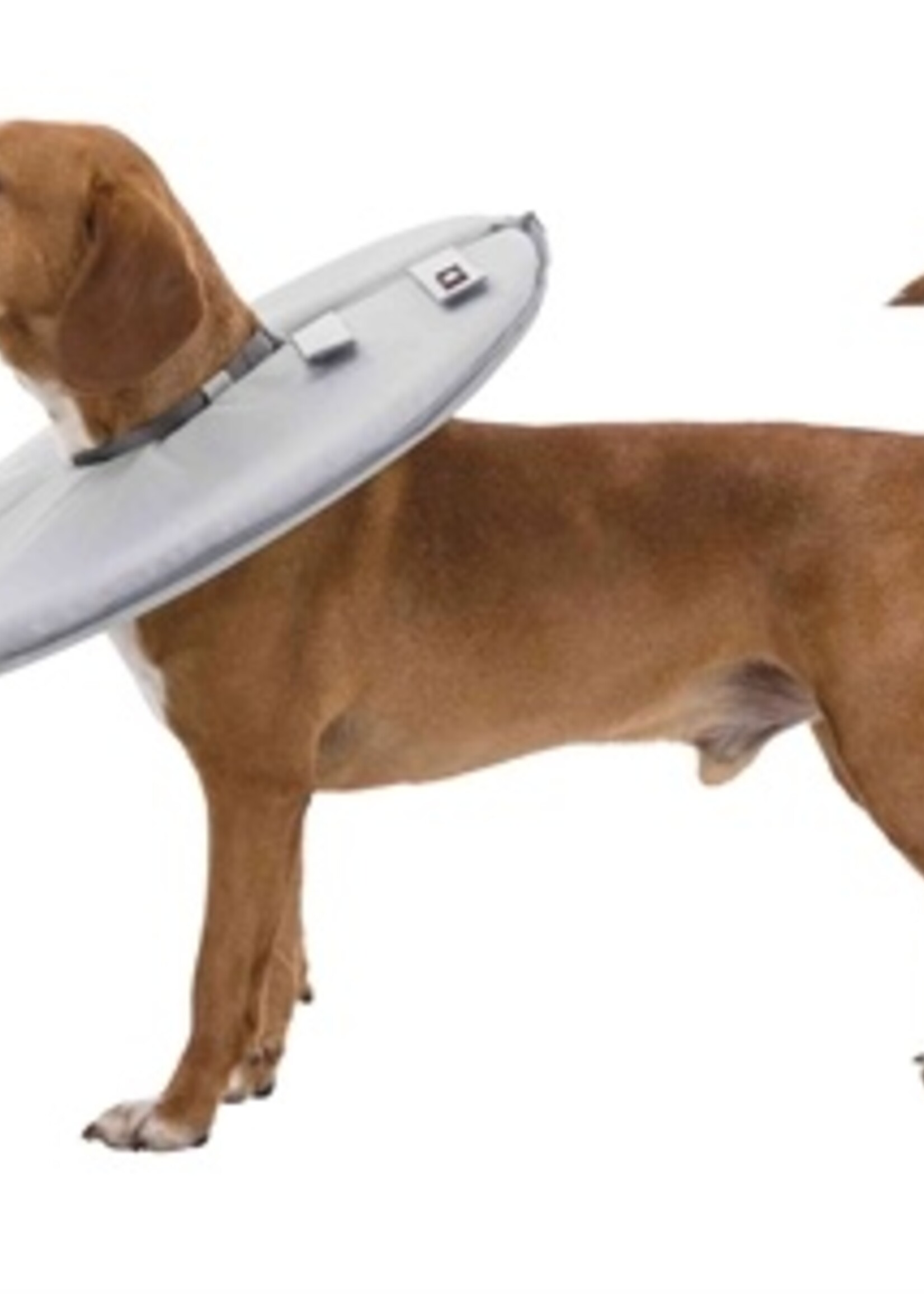 Trixie Trixie beschermkraag schuimrubber grijs