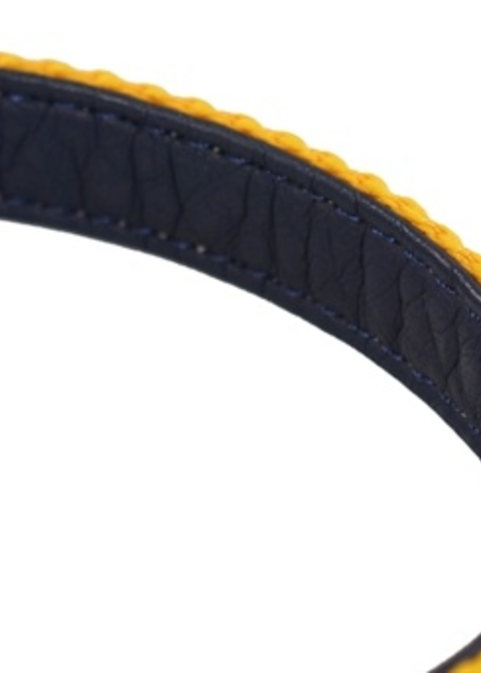 Joules Joules halsband hond coastal navy / geel