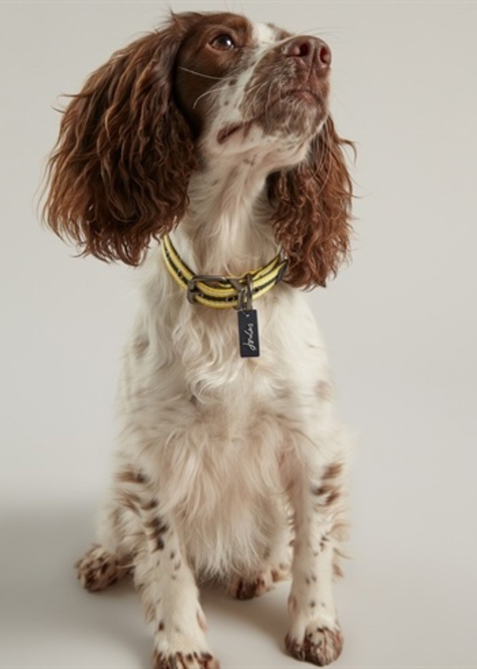 Joules Joules halsband hond coastal navy / geel