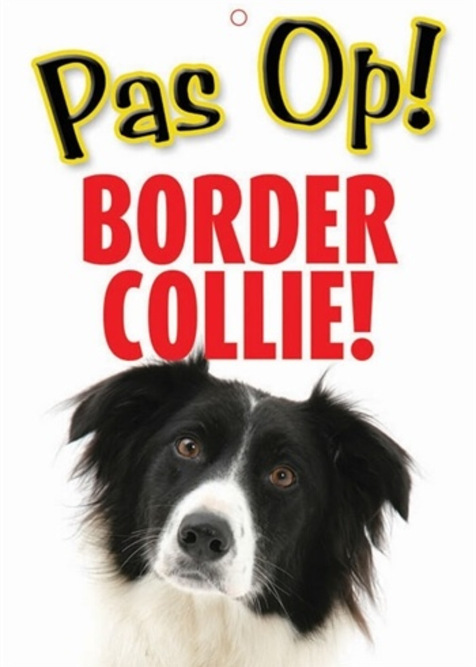 Merkloos Waakbord nederlands kunststof border collie
