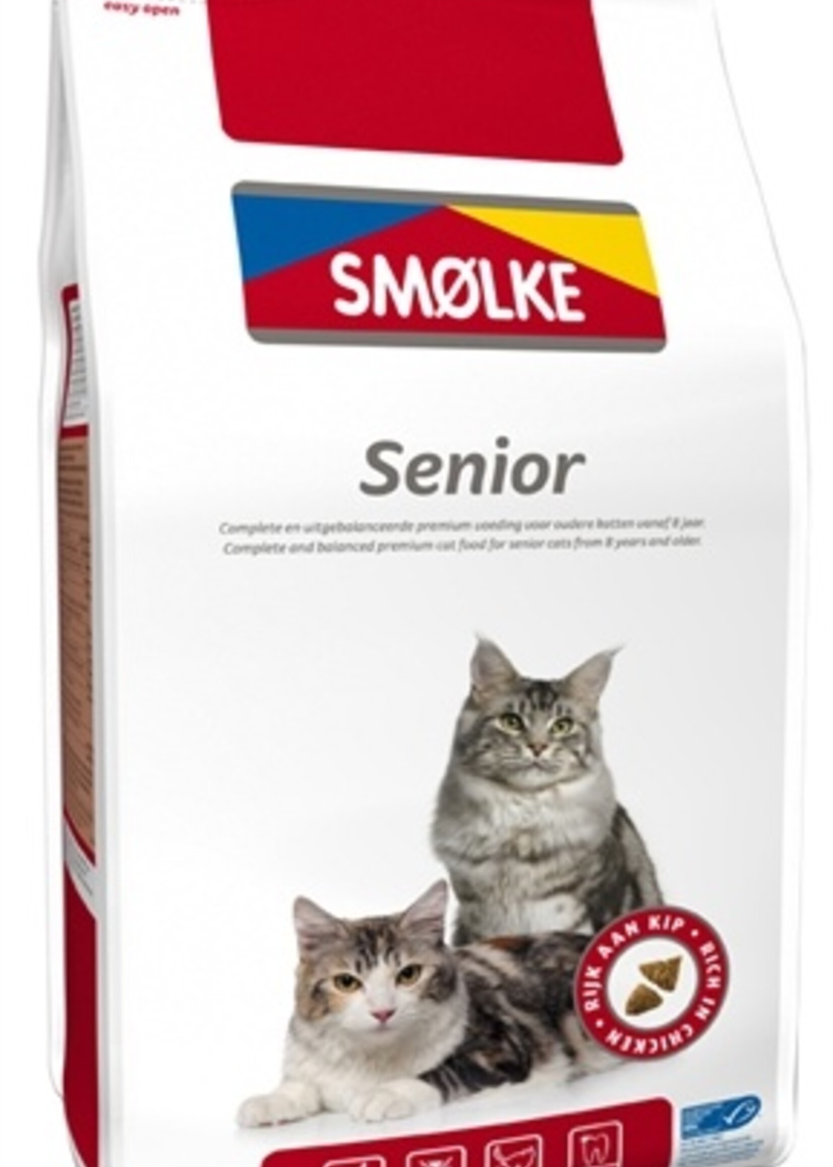 Smolke Smolke cat senior