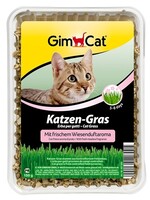 Gimcat Gimcat kattengras