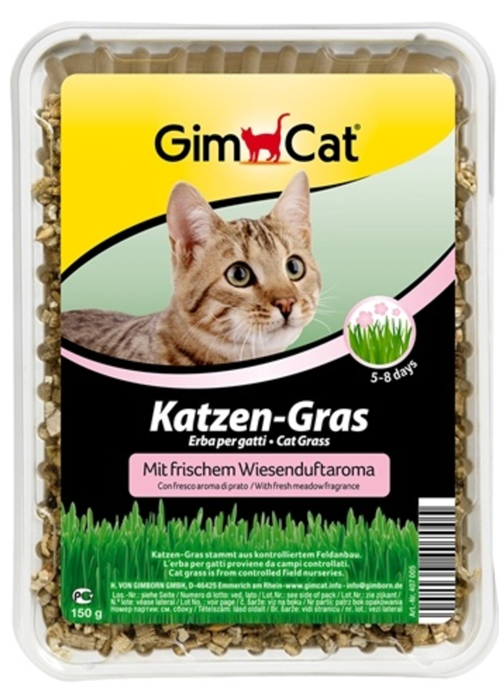 Gimcat Gimcat kattengras