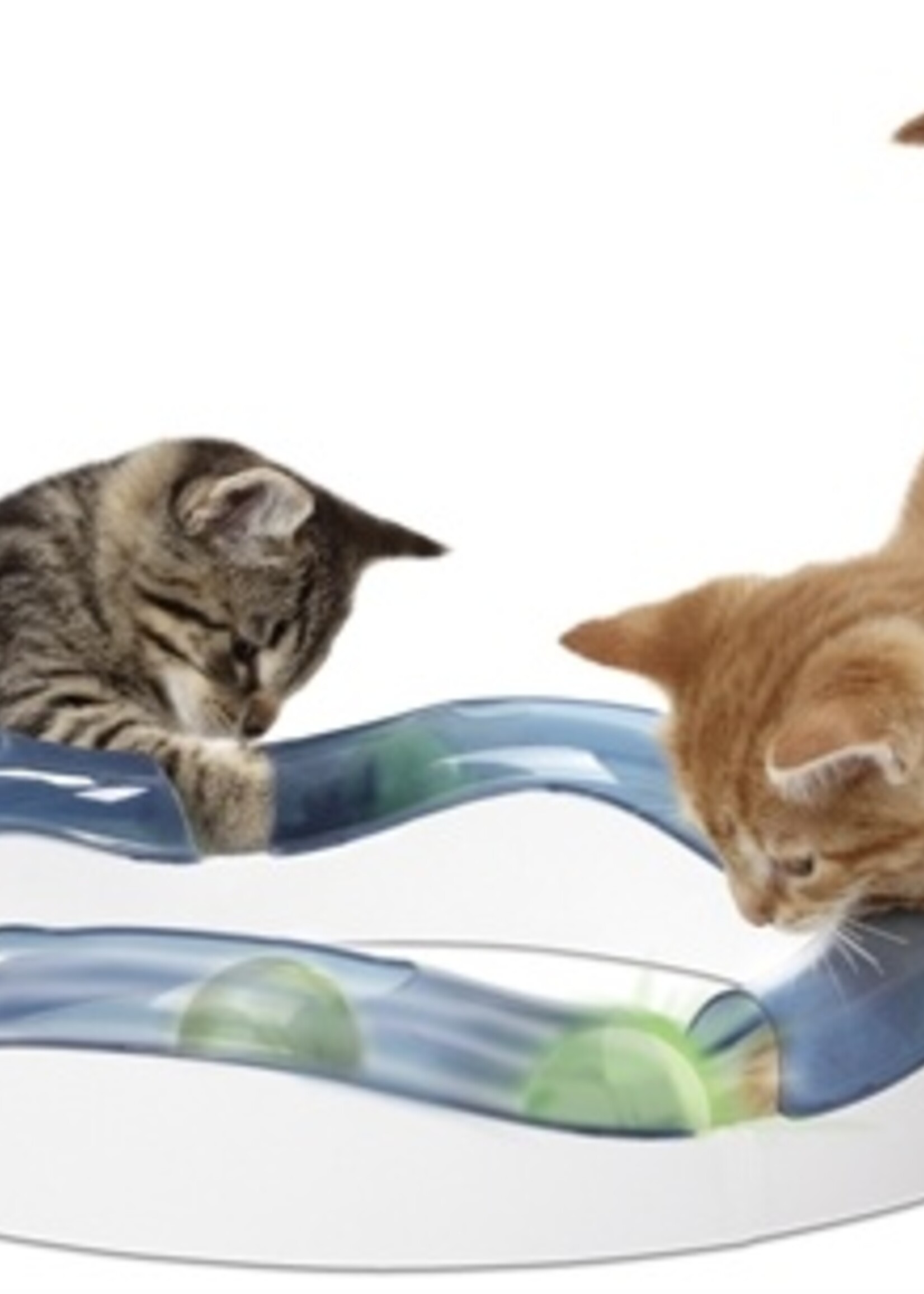 Catit Hagen catit design senses tempo speed circuit