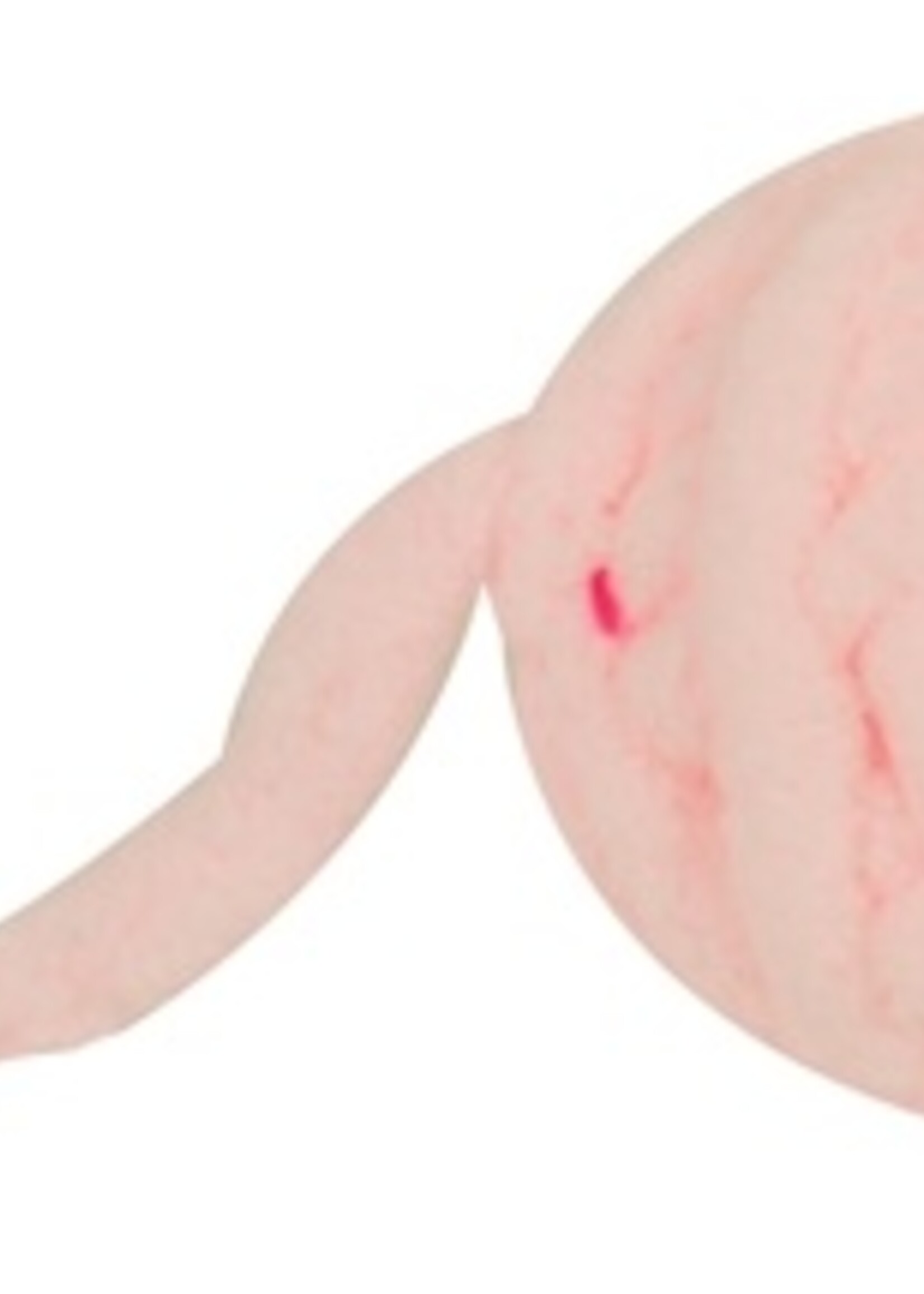 Fofos Fofos wol bal assorti