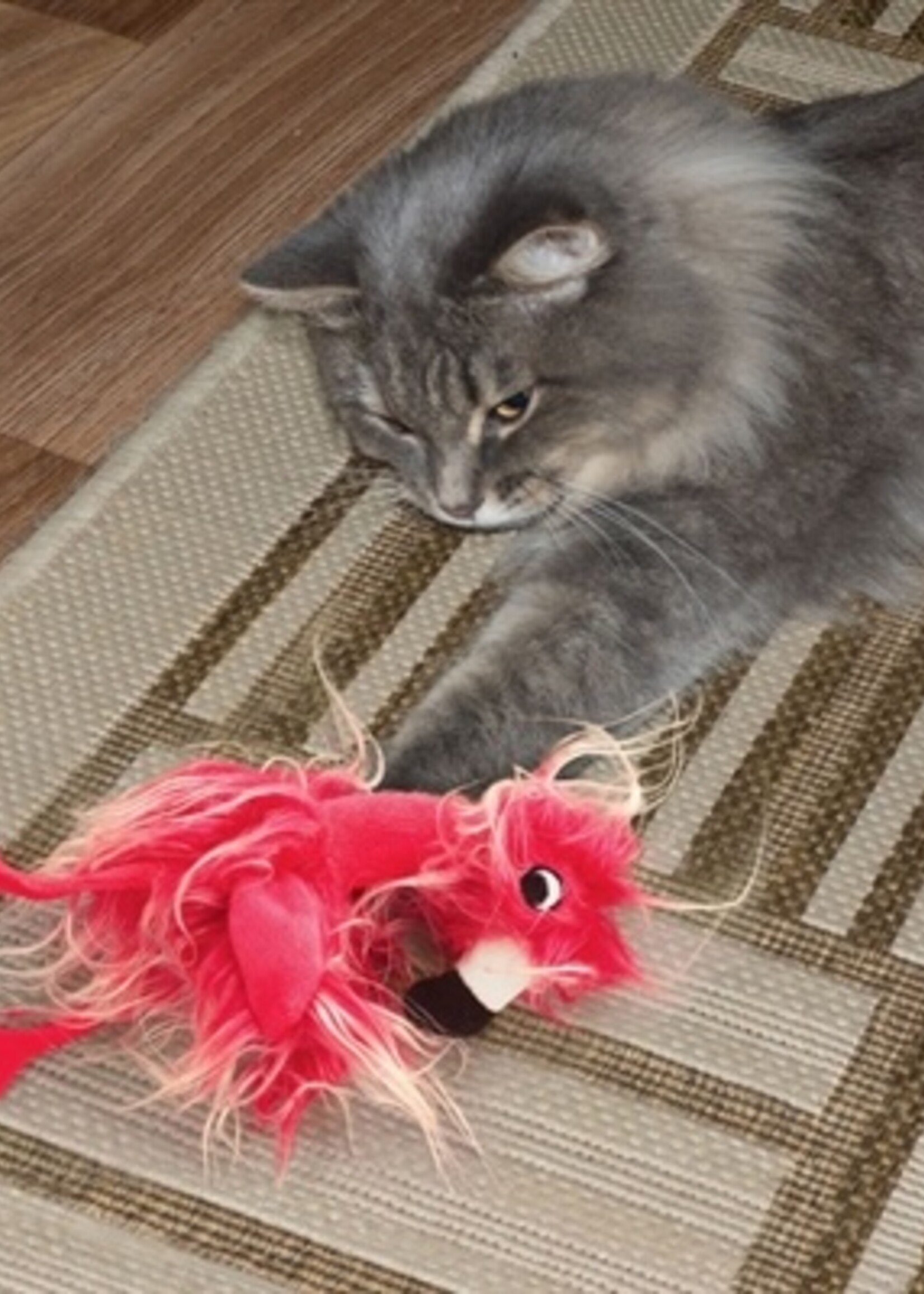 Kong Kong kat softies frizz bird assorti