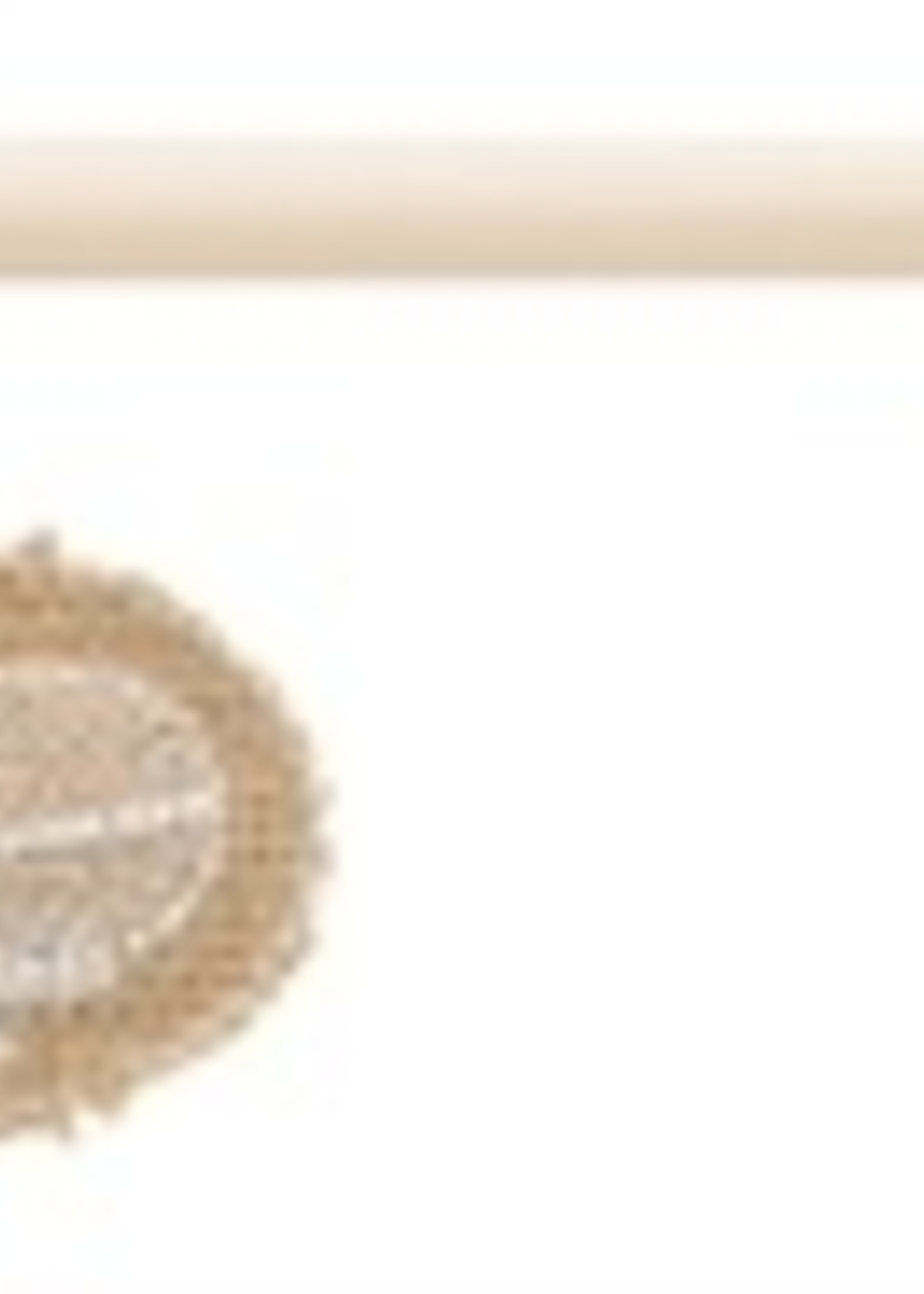 Trixie Trixie kattenhengel veer hout / jute