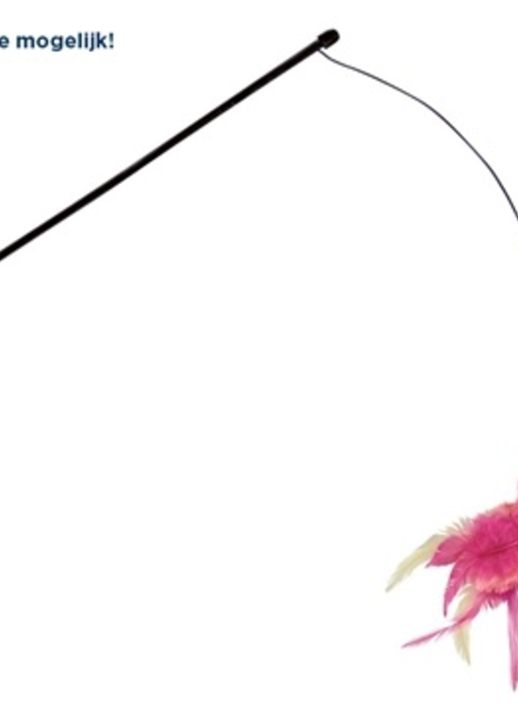 Kong Kong cat teaser feather assorti