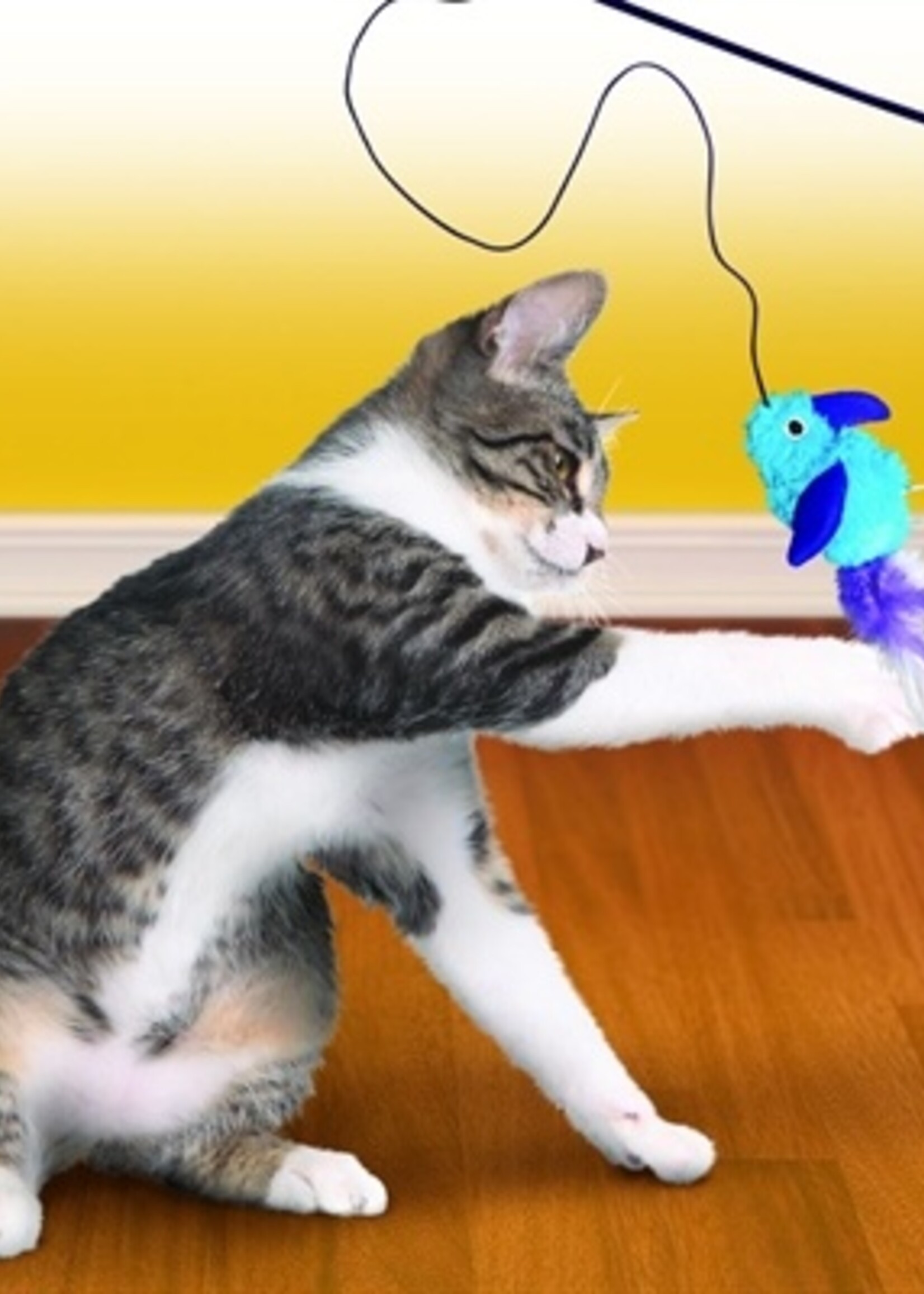 Kong Kong cat teaser feather assorti