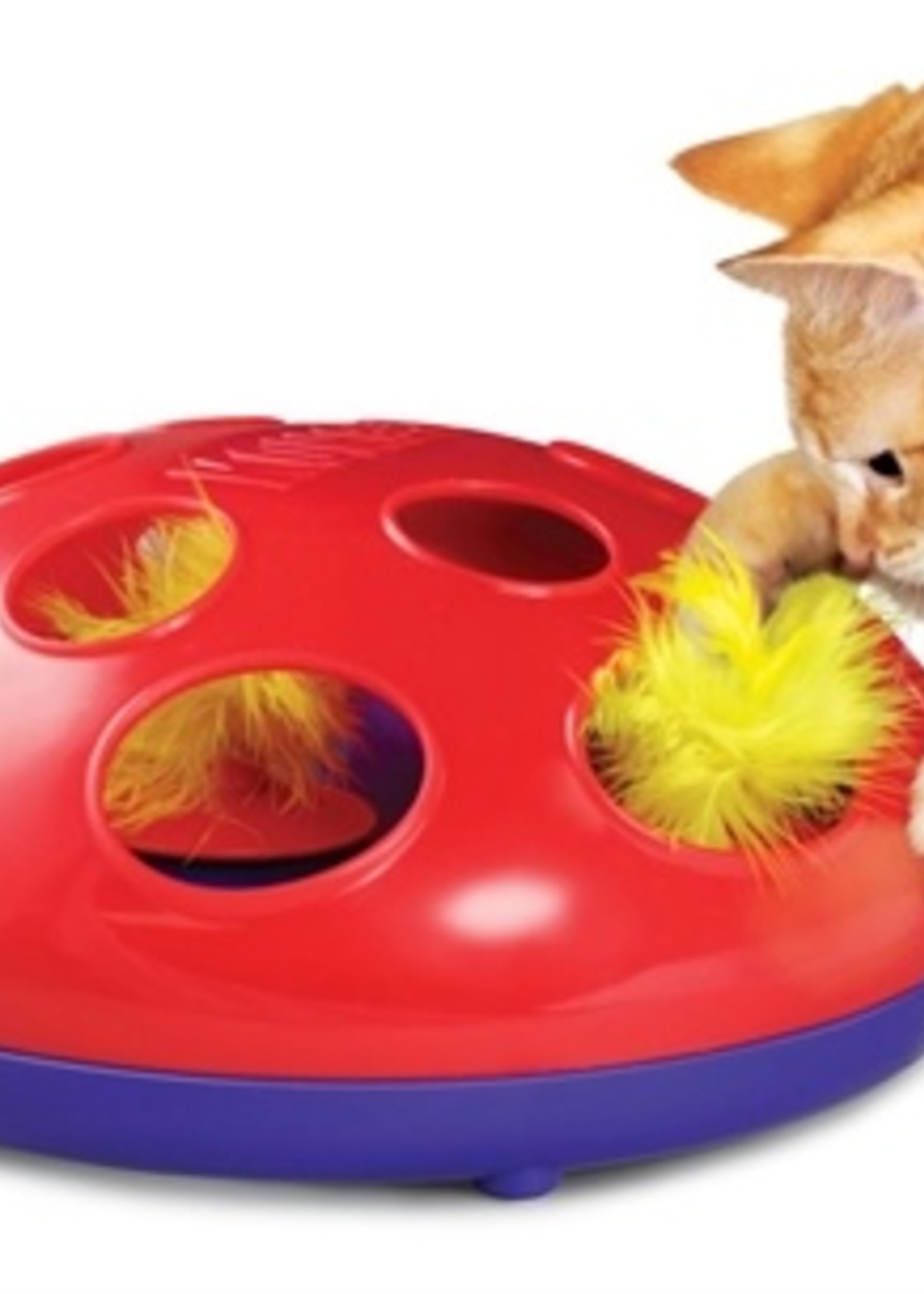 Kong Kong cat glide n' seek feathers