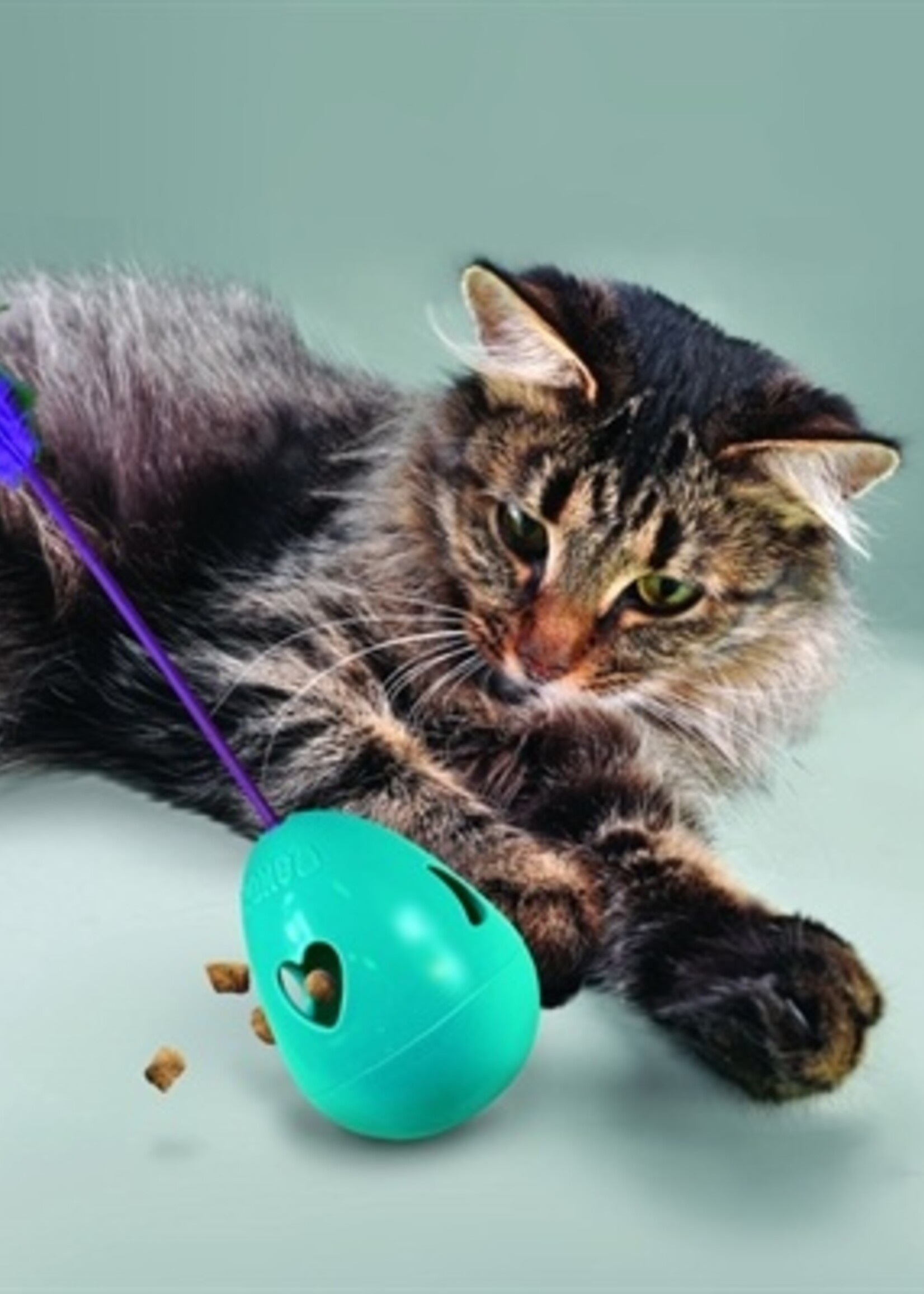 Kong Kong cat infused tippin treat