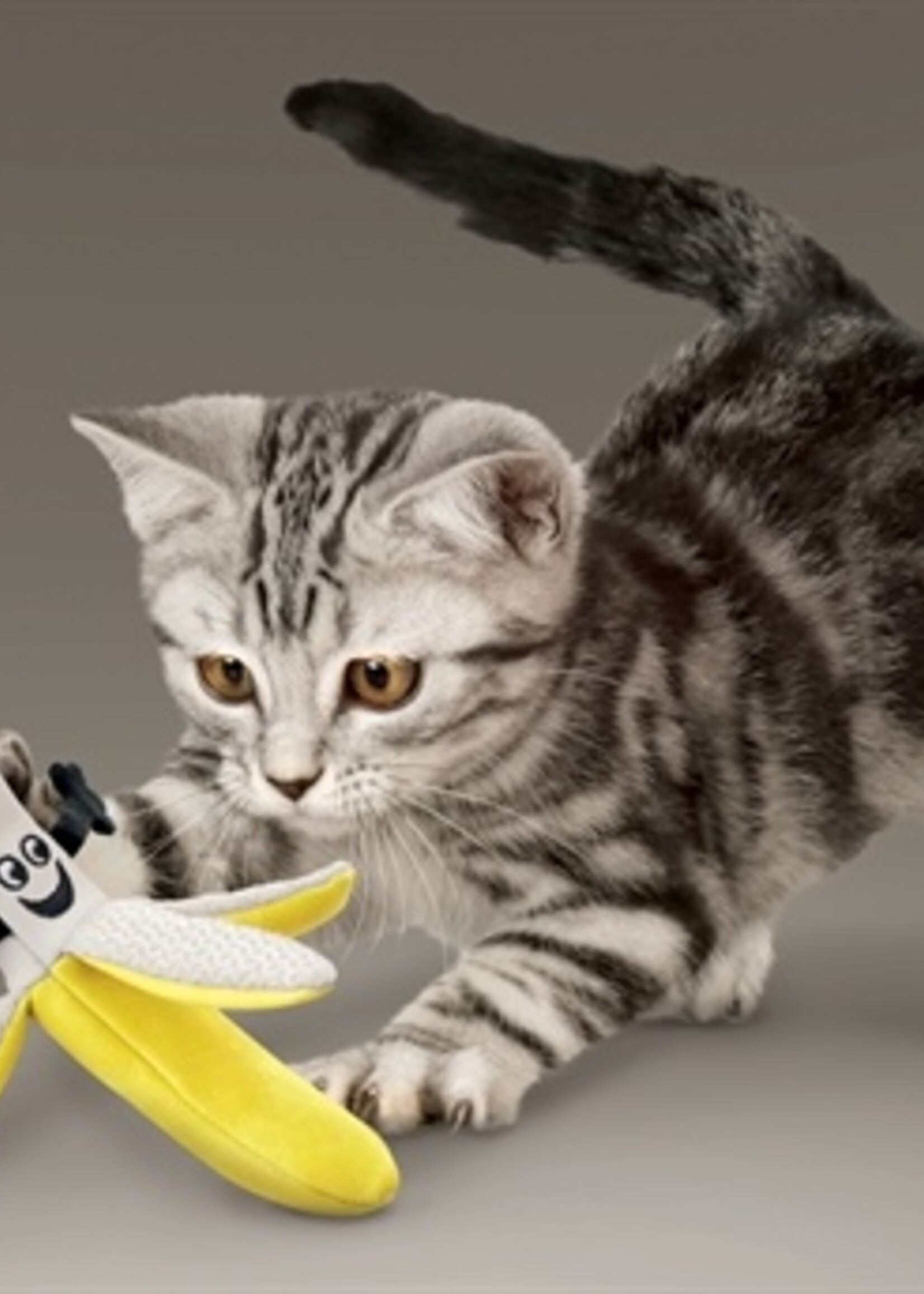 Kong Kong better buzz banana assorti