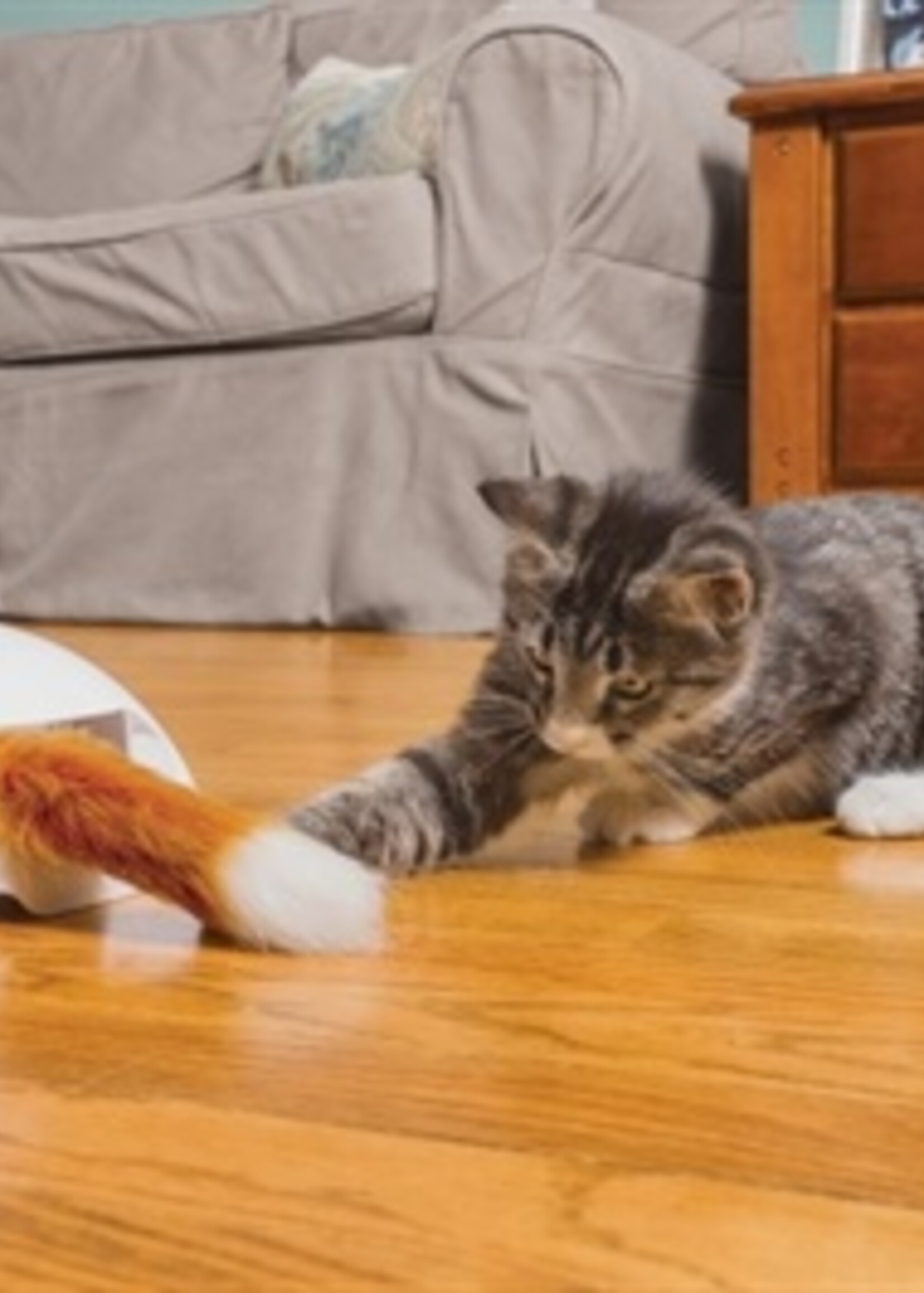 Frolicat Frolicat fox den