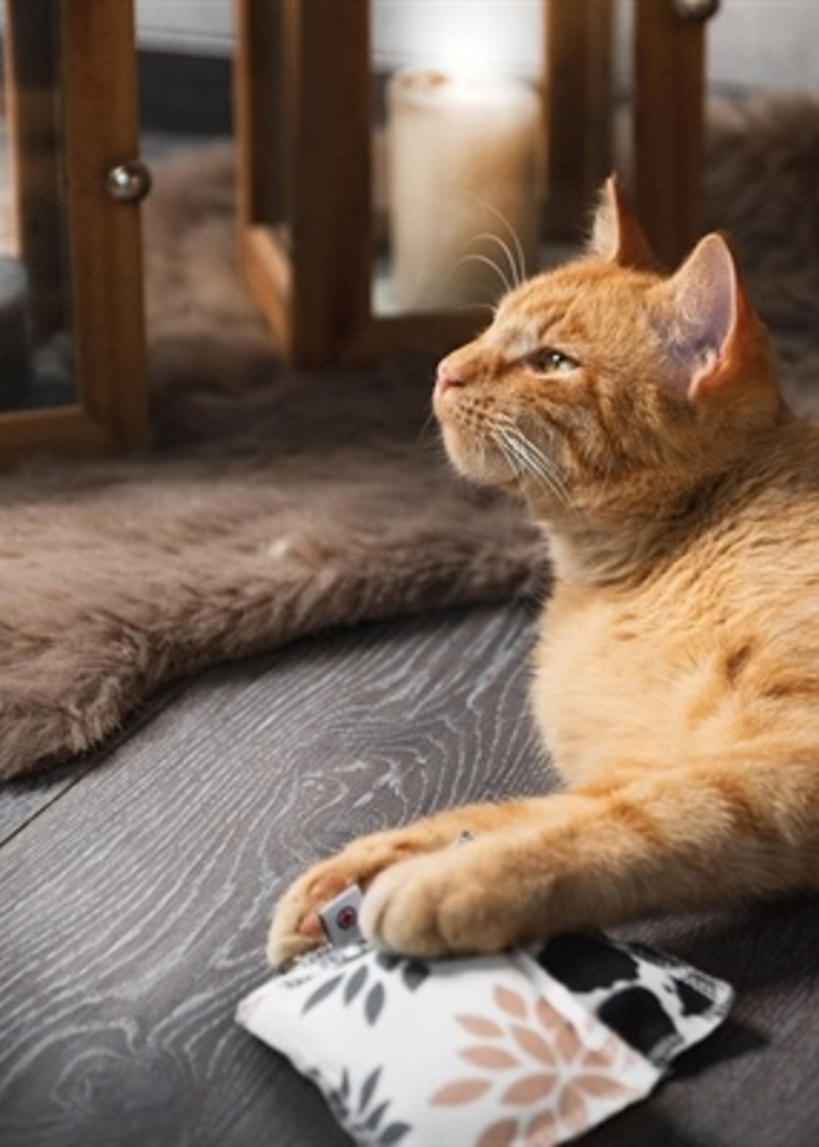 Canadiancat company Canadian cat speelkussen karo met catnip grijs / beige