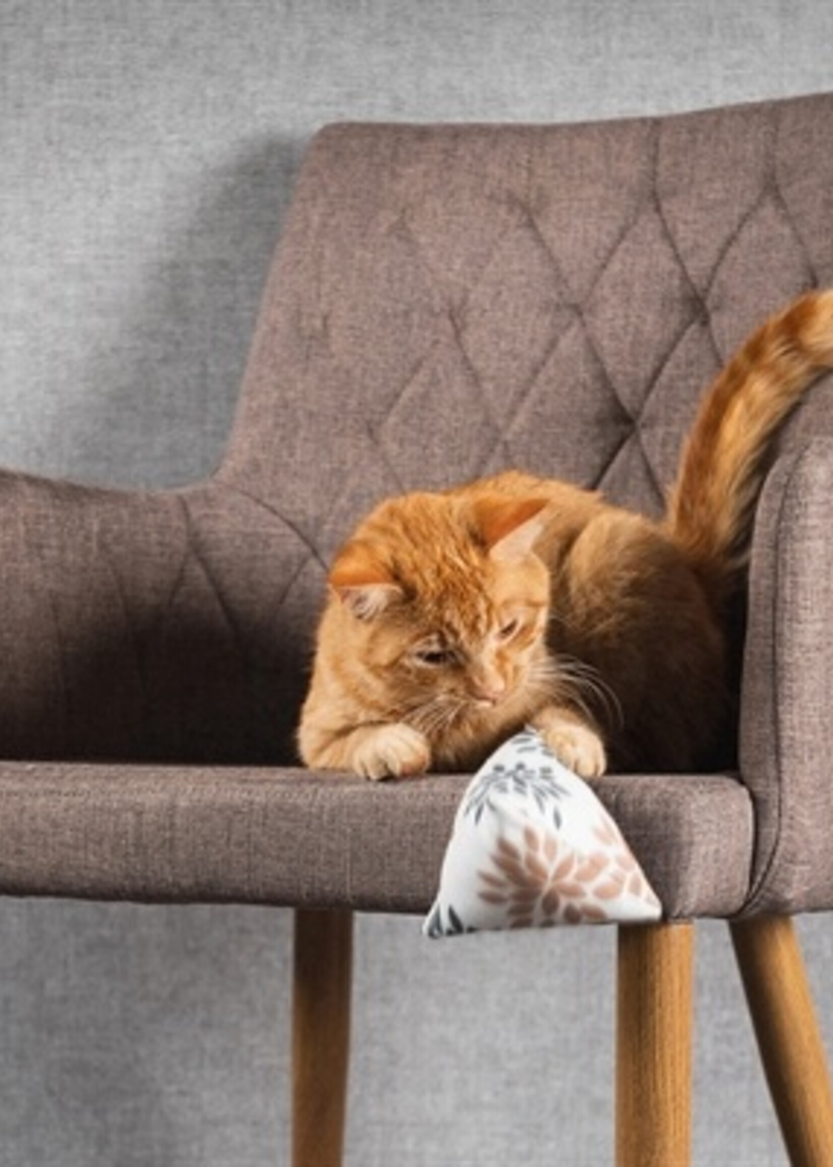 Canadiancat company Canadian cat mini pyramide set met catnip bruin / beige