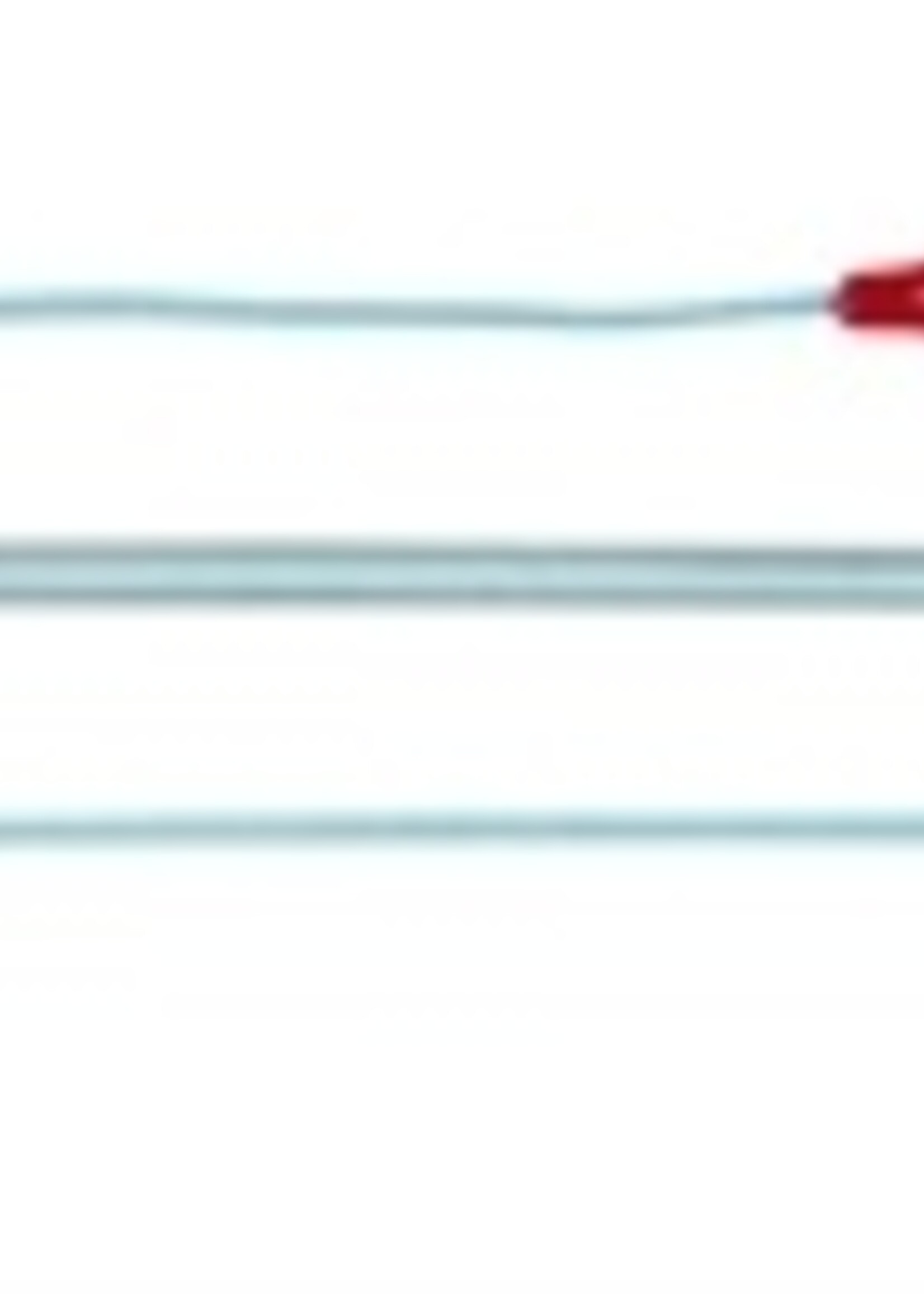 Trixie Trixie kattenhengel met 2 speeltjes