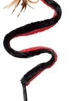 Kong Kong kat snake teaser